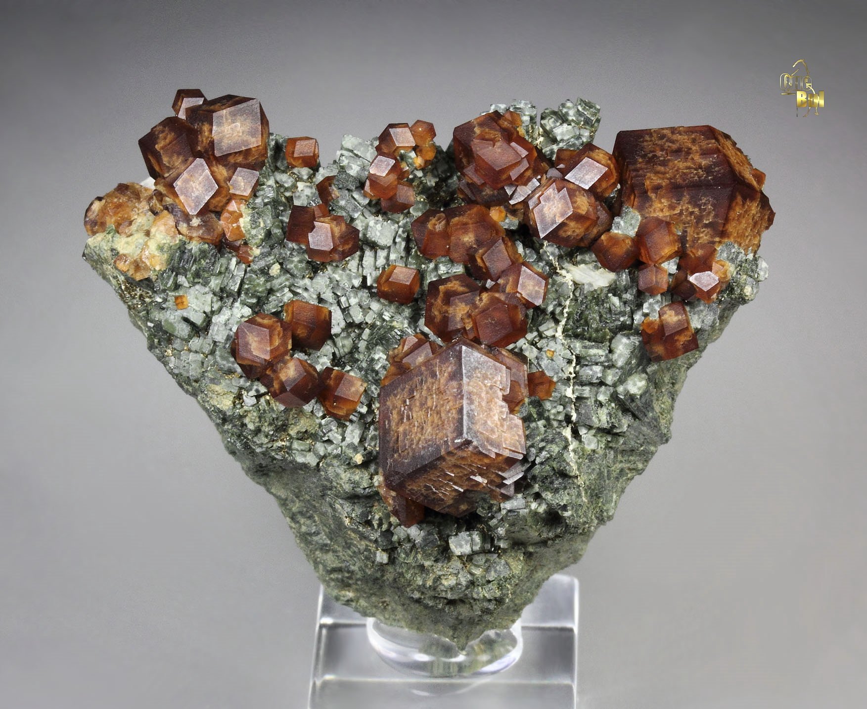 GARNET var. ANDRADITE, HEDENBERGITE