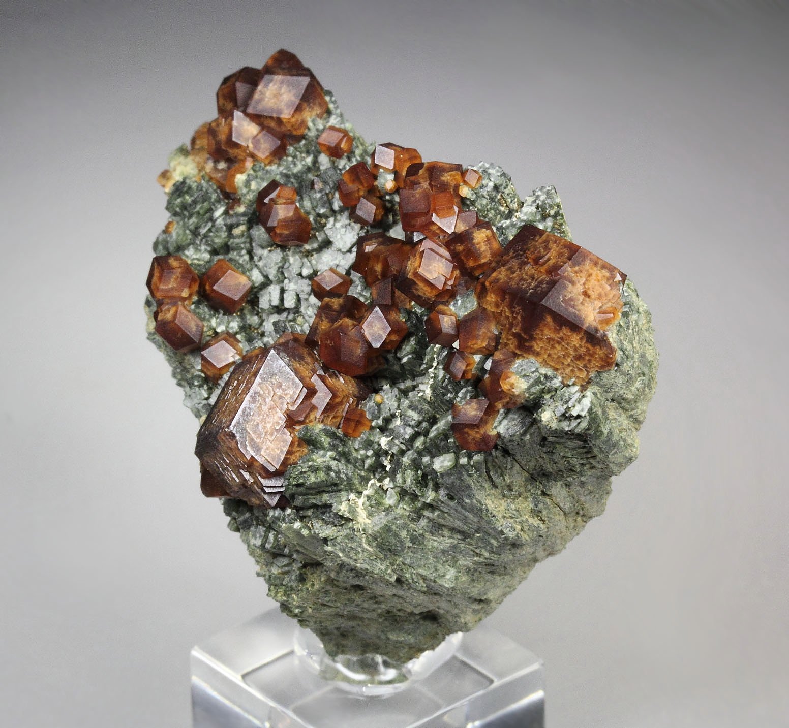 GARNET var. ANDRADITE, HEDENBERGITE