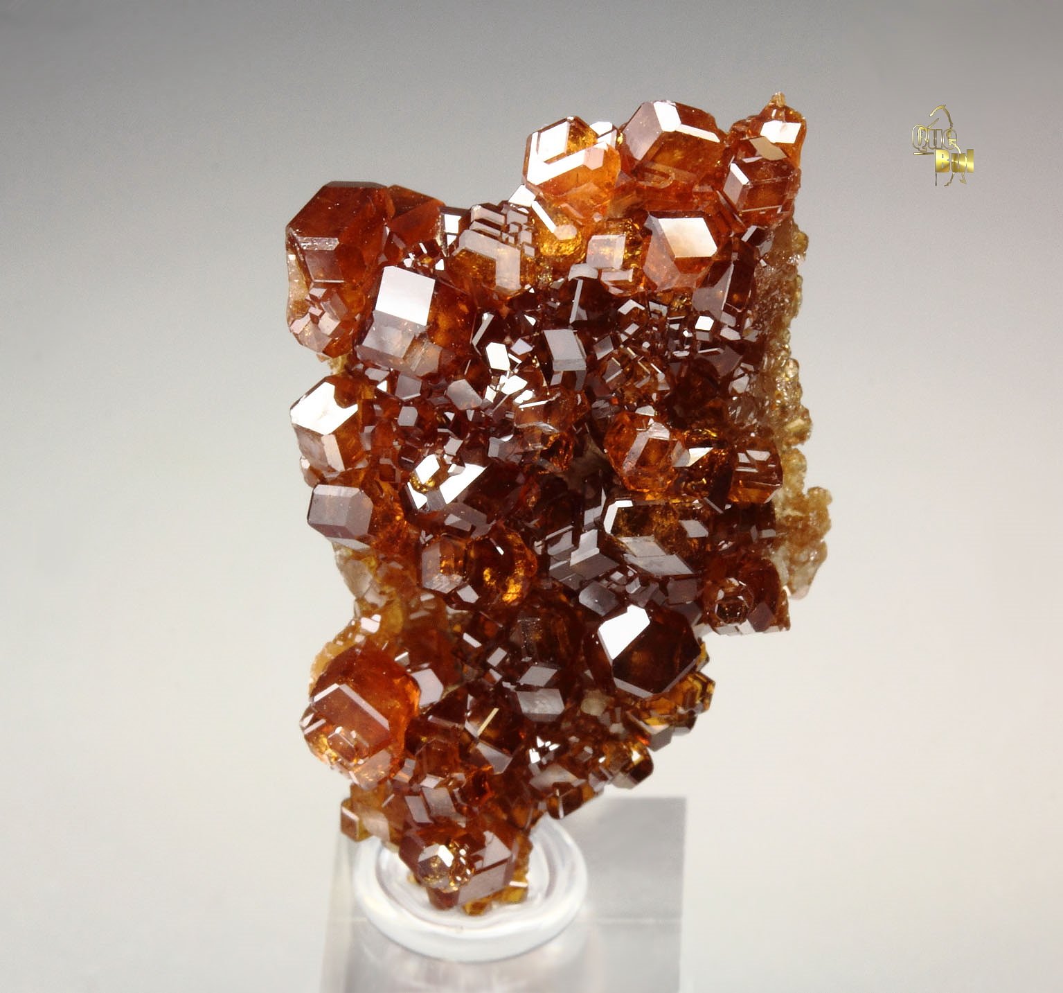 gem GARNET var. HESSONITE