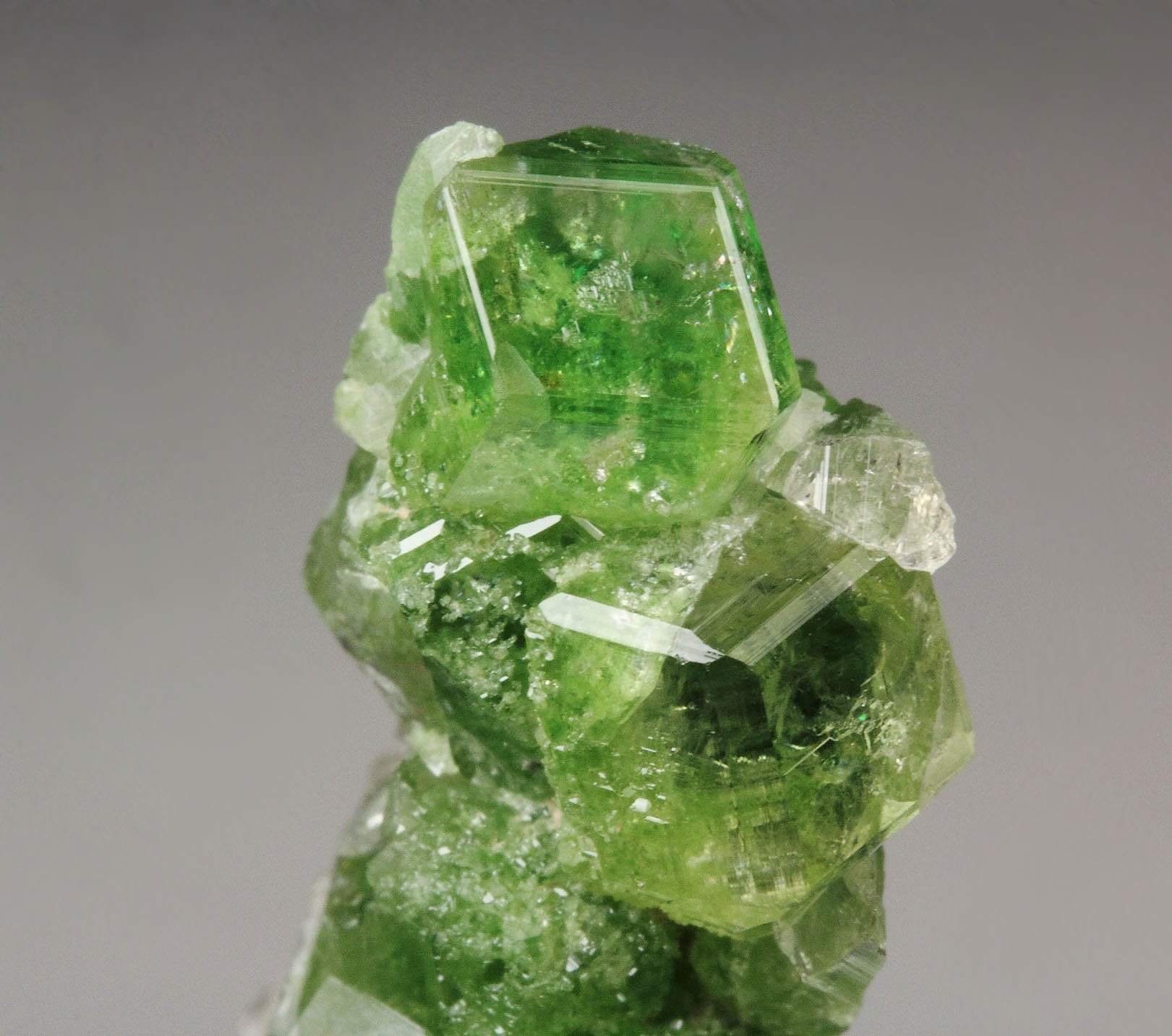 gem GARNET var. GROSSULAR with GREEN CHROMIAN PHANTOMS