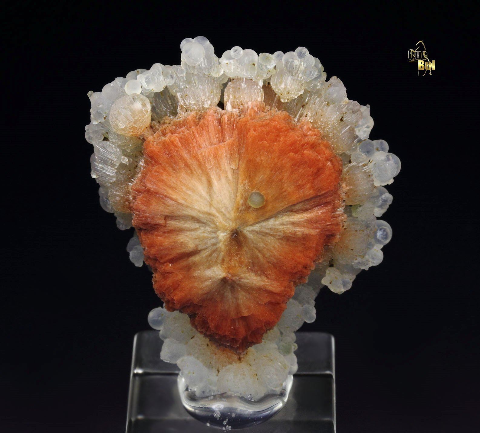 orange SCOLECITE, CHALCEDONY