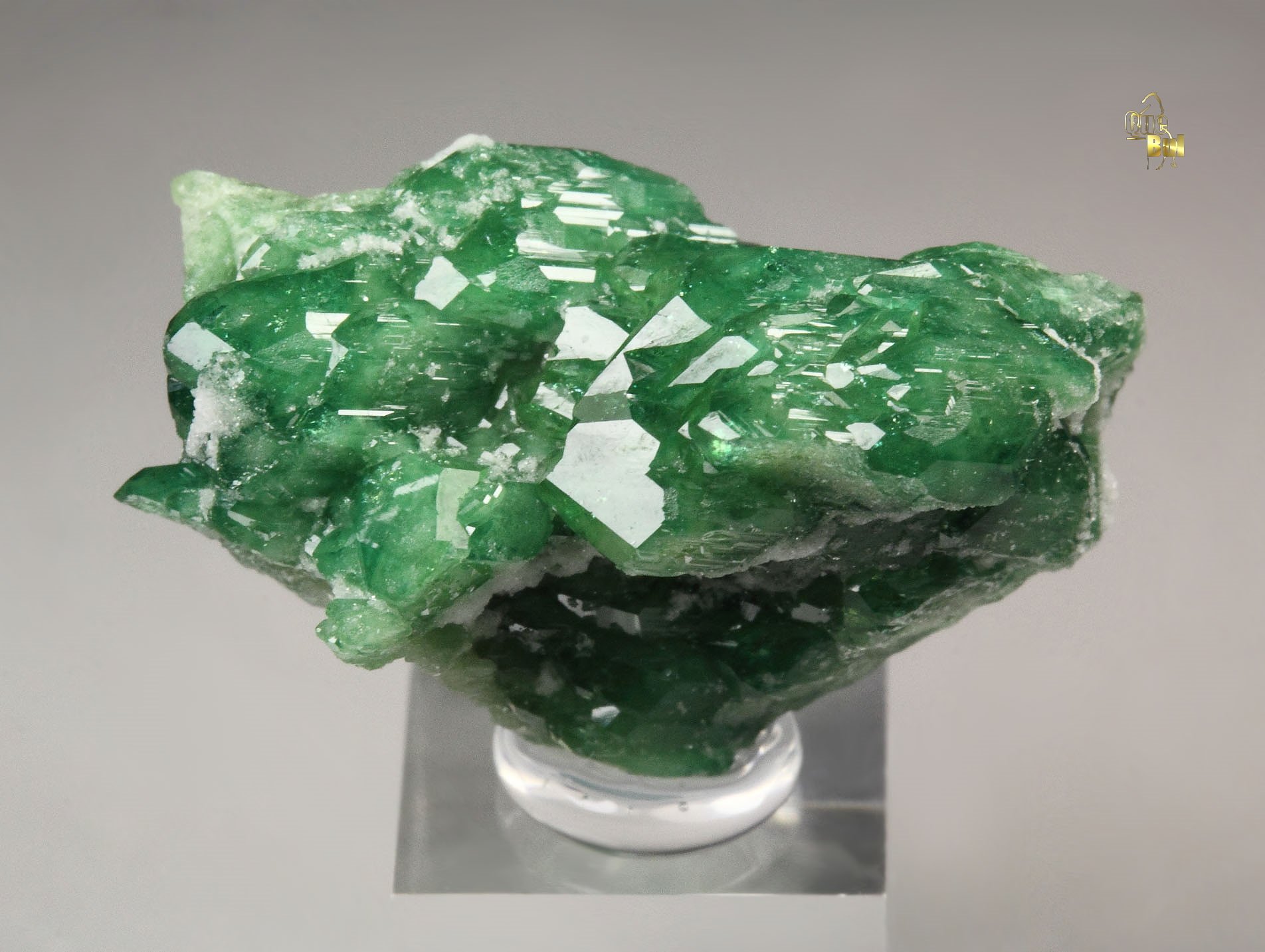 VESUVIANITE var. CHROMIAN