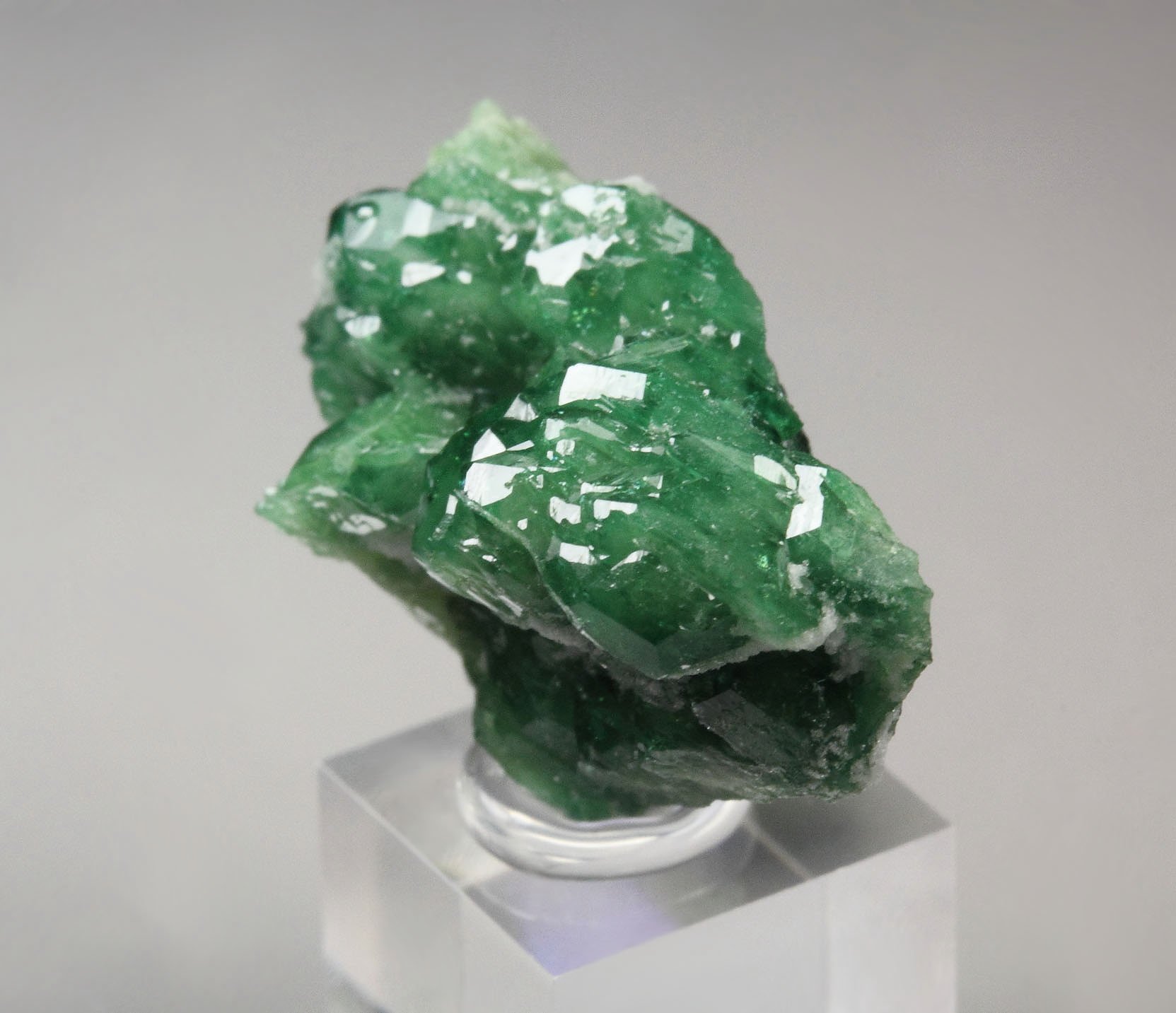 VESUVIANITE var. CHROMIAN