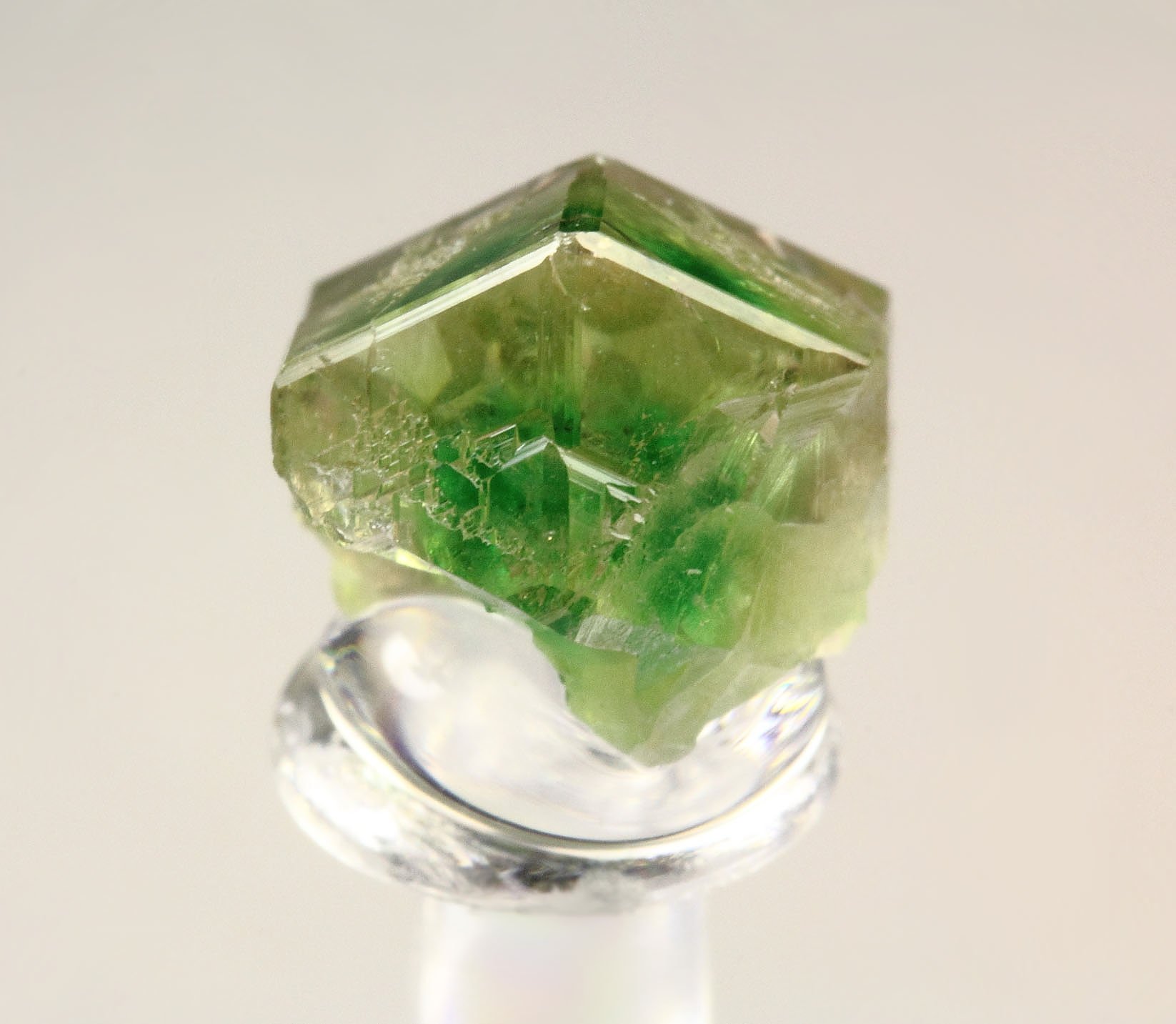 gem GARNET var. GROSSULAR with GREEN CHROMIAN PHANTOM