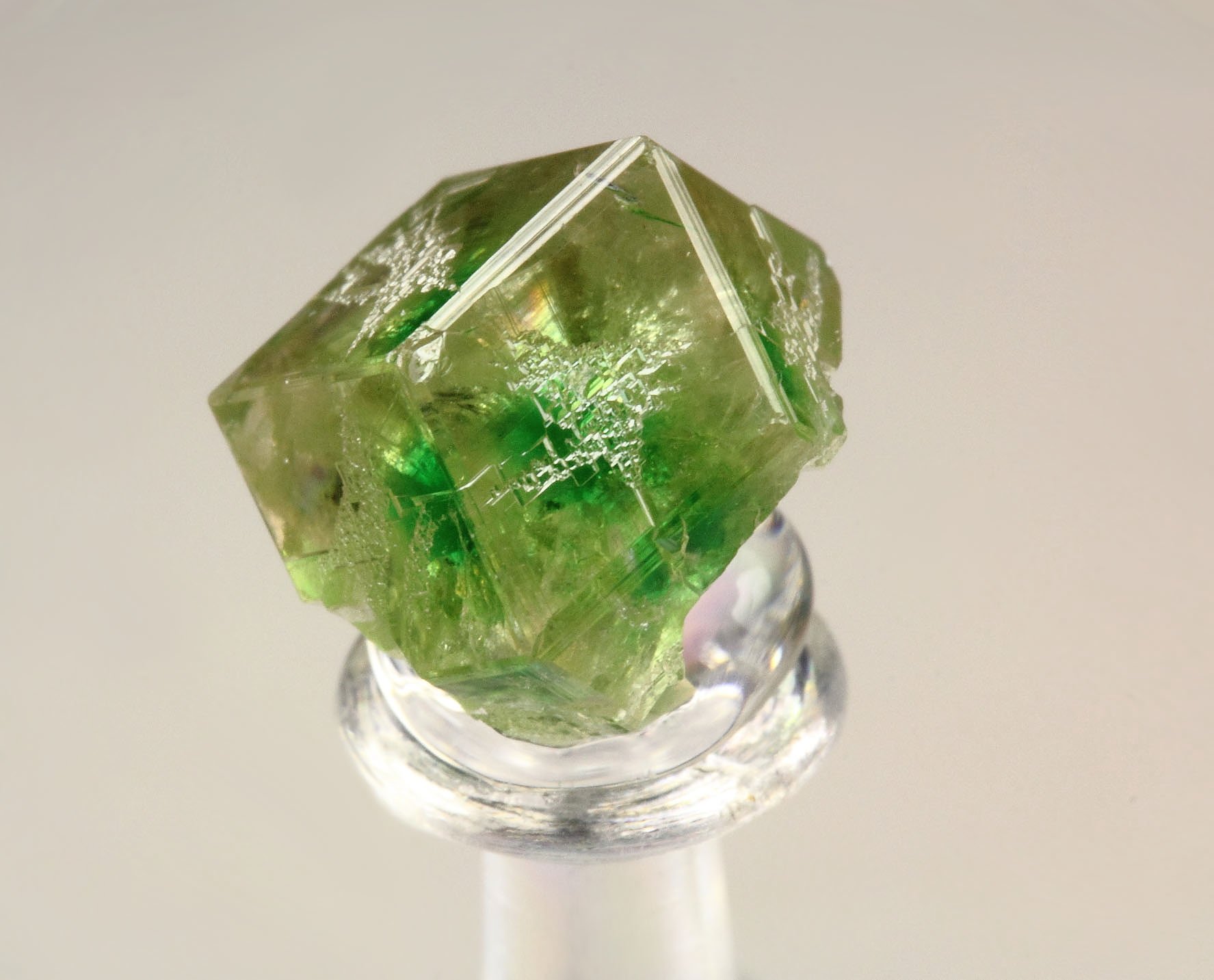 gem GARNET var. GROSSULAR with GREEN CHROMIAN PHANTOM