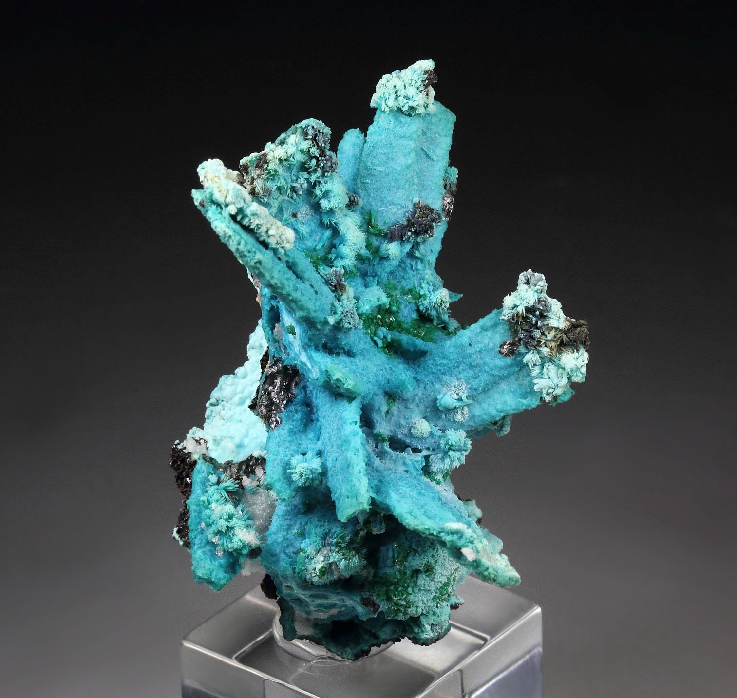 CHRYSOCOLLA pseudomorph after AZURITE, after MALACHITE