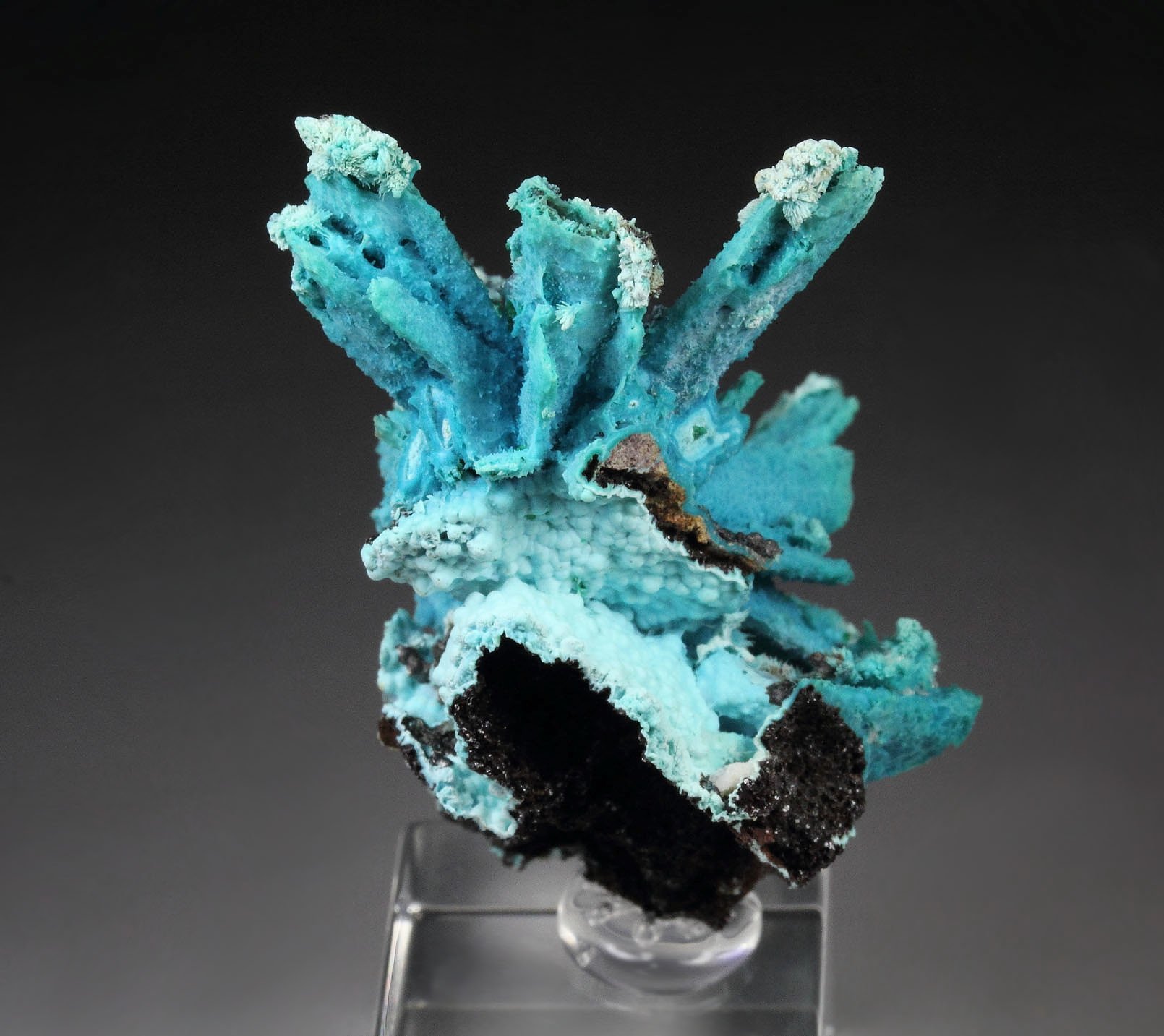 CHRYSOCOLLA pseudomorph after AZURITE, after MALACHITE