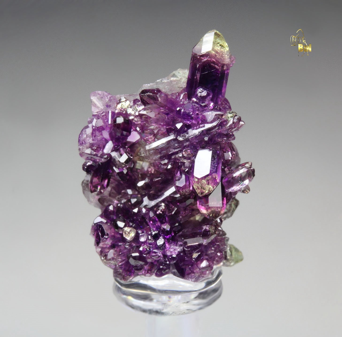 gem VESUVIANITE var. MANGANOAN