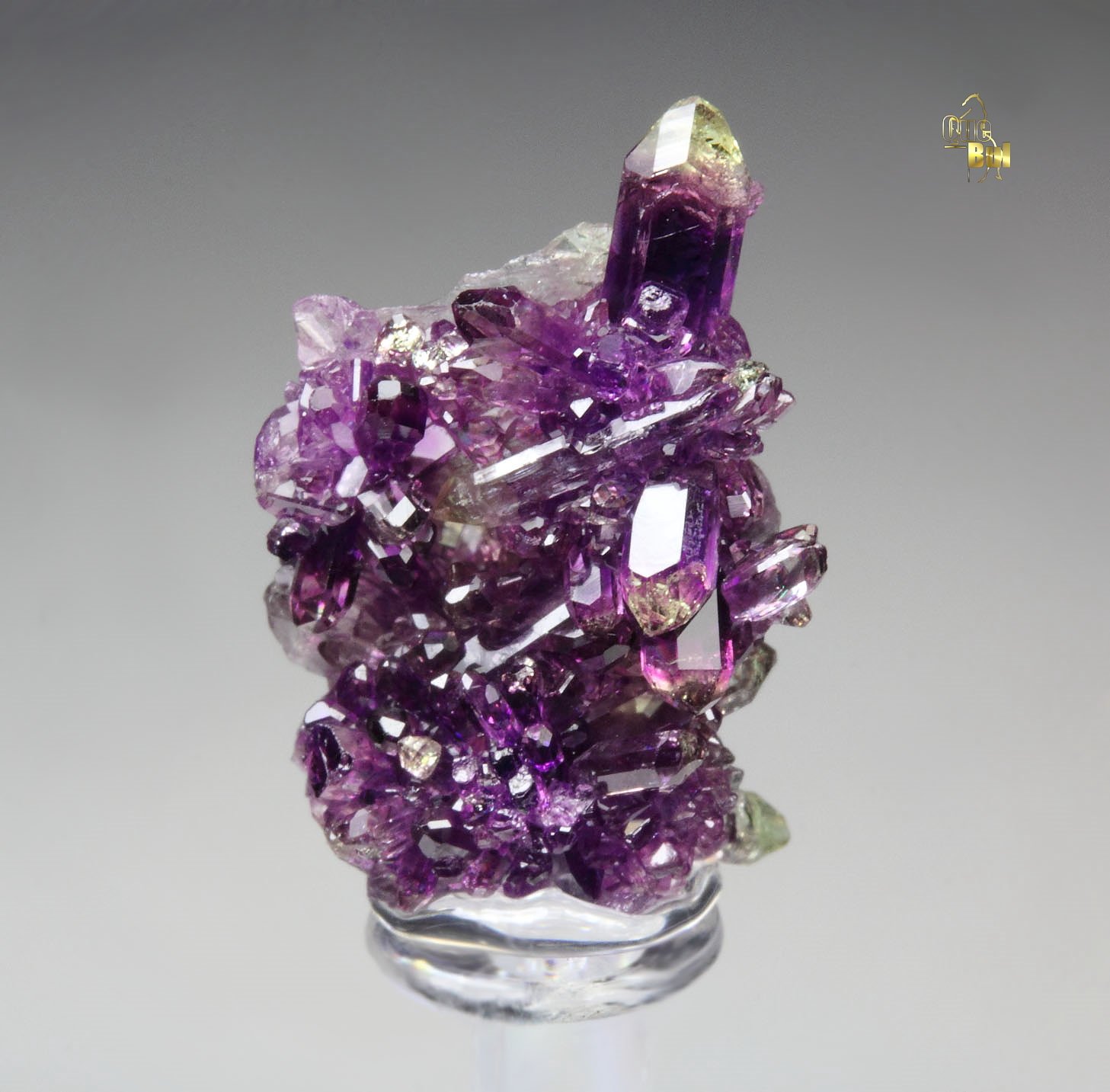 gem VESUVIANITE var. MANGANOAN