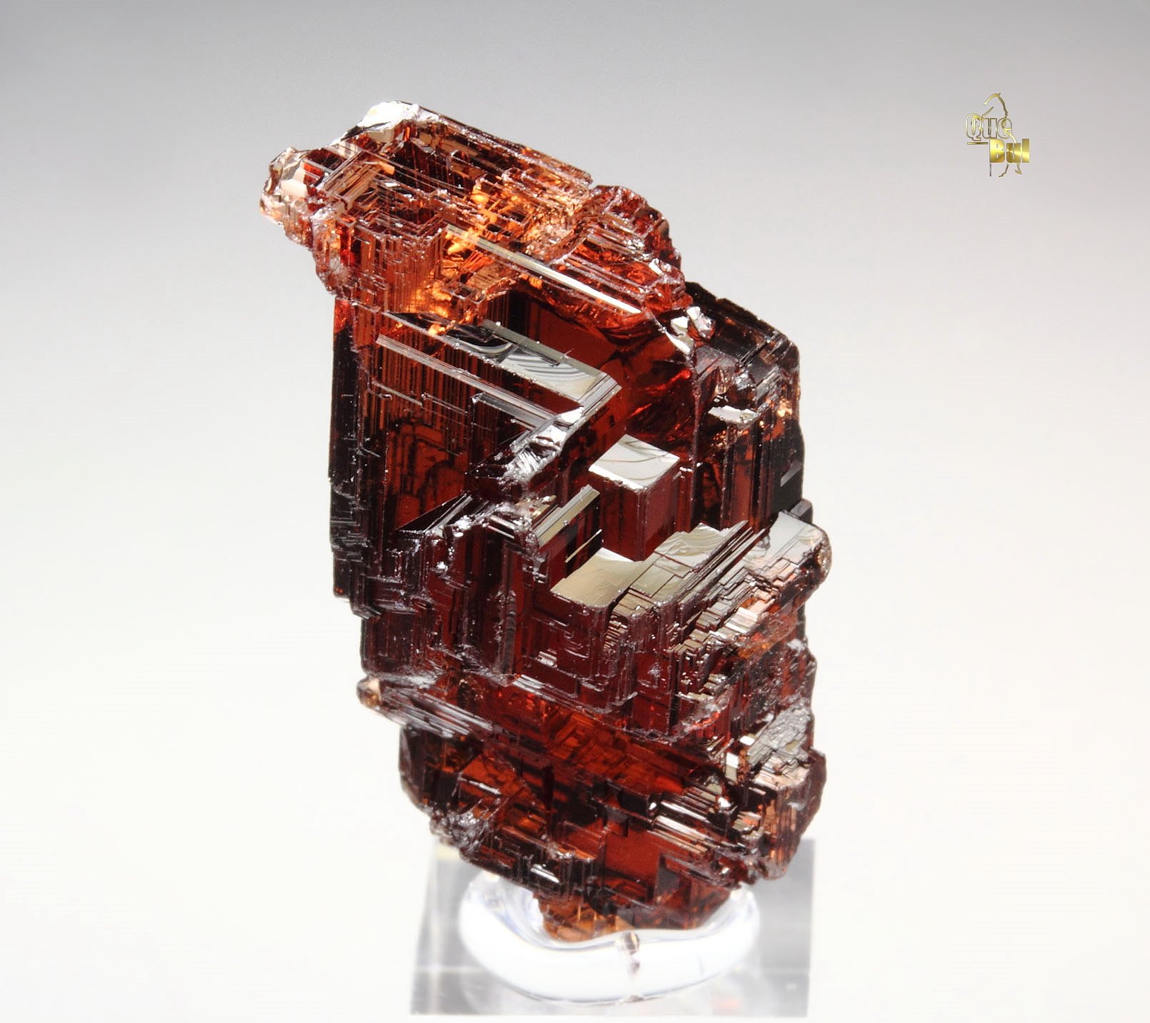 gem GARNET var. SPESSARTINE skeletal 