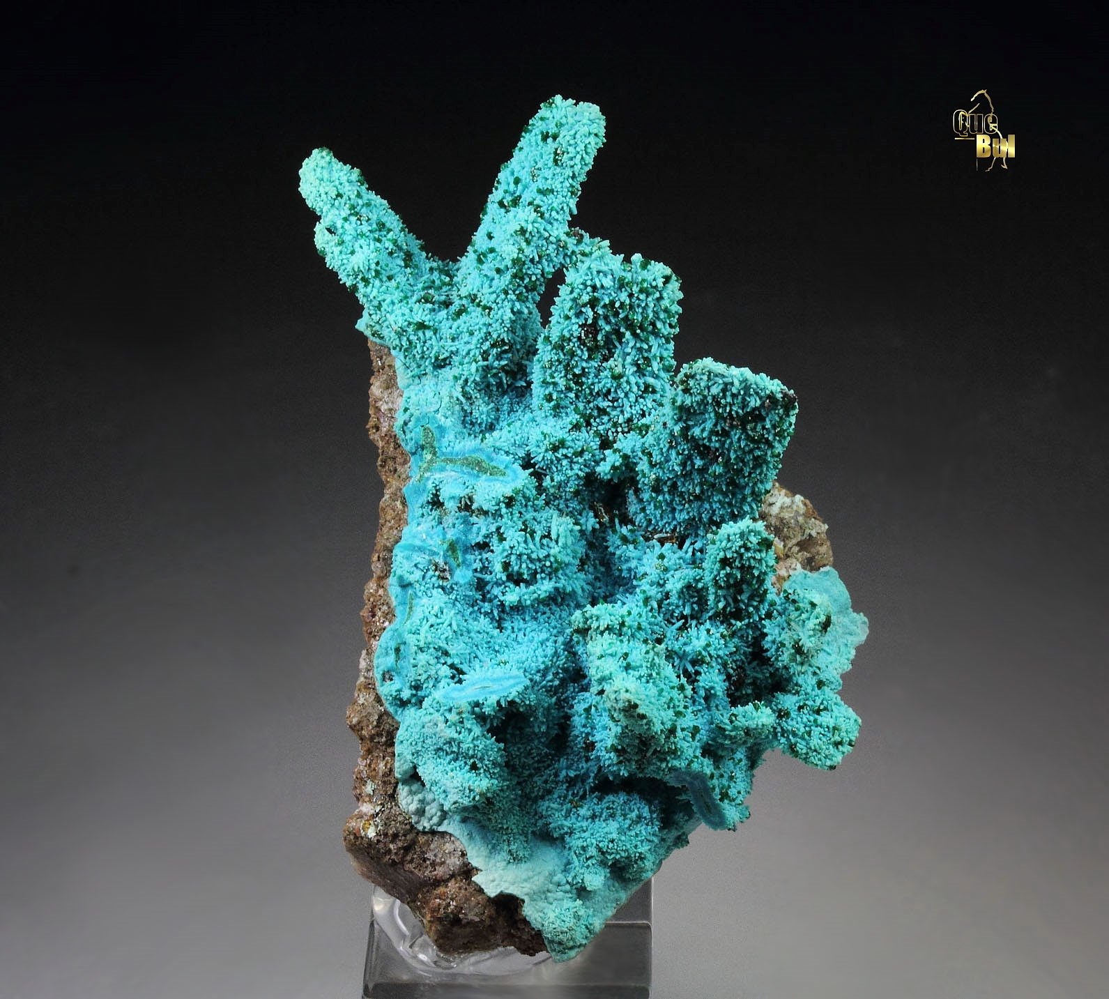 CHRYSOCOLLA pseudomorph after AZURITE, after MALACHITE