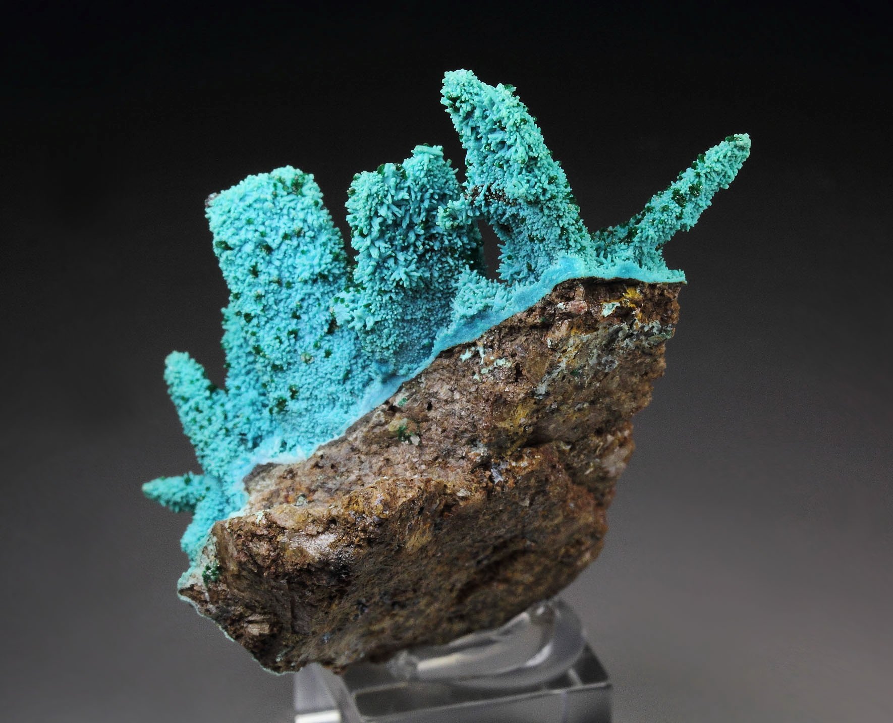 CHRYSOCOLLA pseudomorph after AZURITE, after MALACHITE