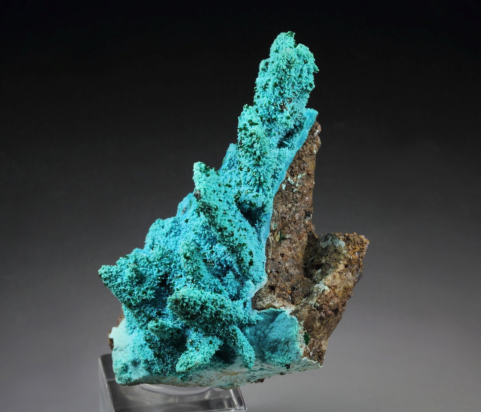 CHRYSOCOLLA pseudomorph after AZURITE, after MALACHITE