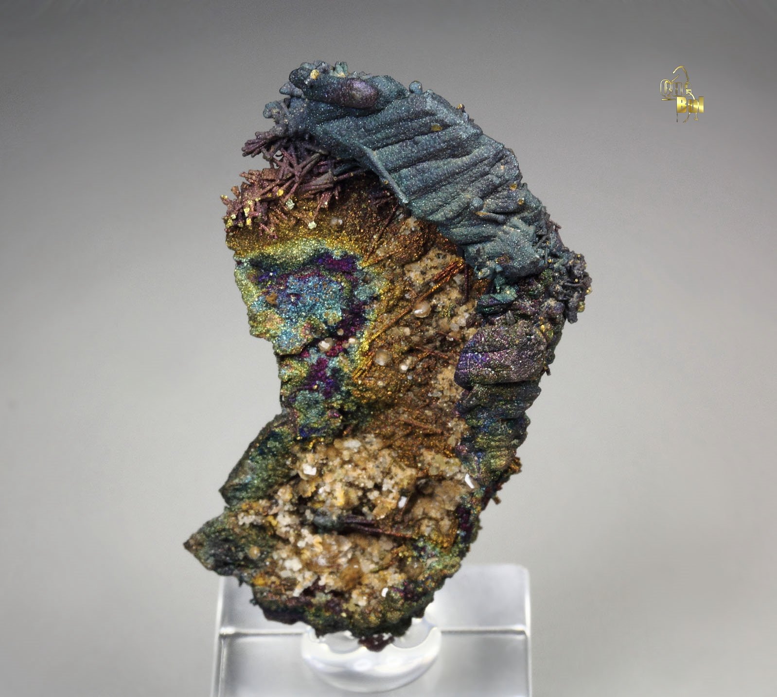 CHALCOCITE, DJURLEITE, iridescent CHALCOPYRITE