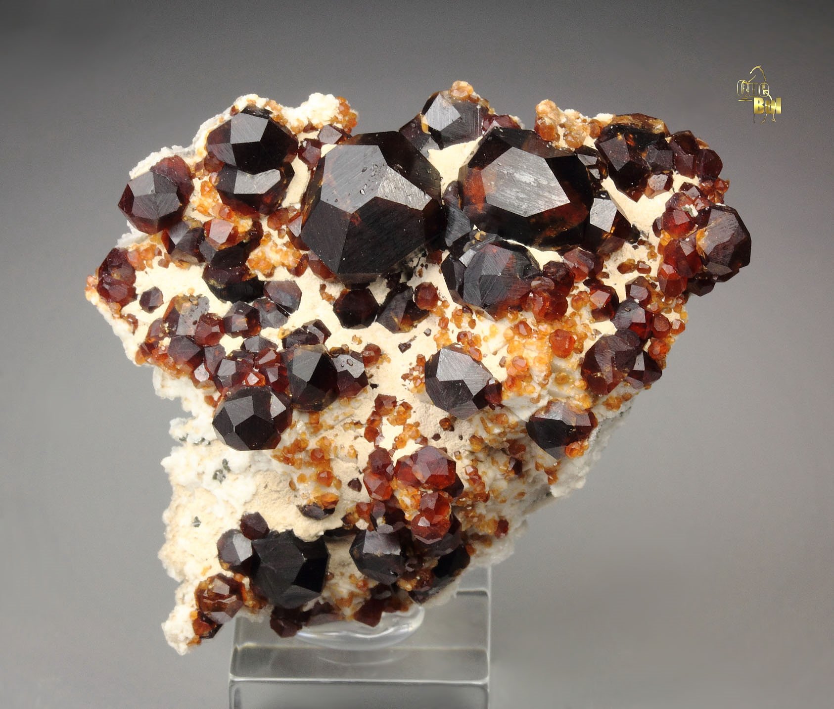 gemmy GARNET var. SPESSARTINE