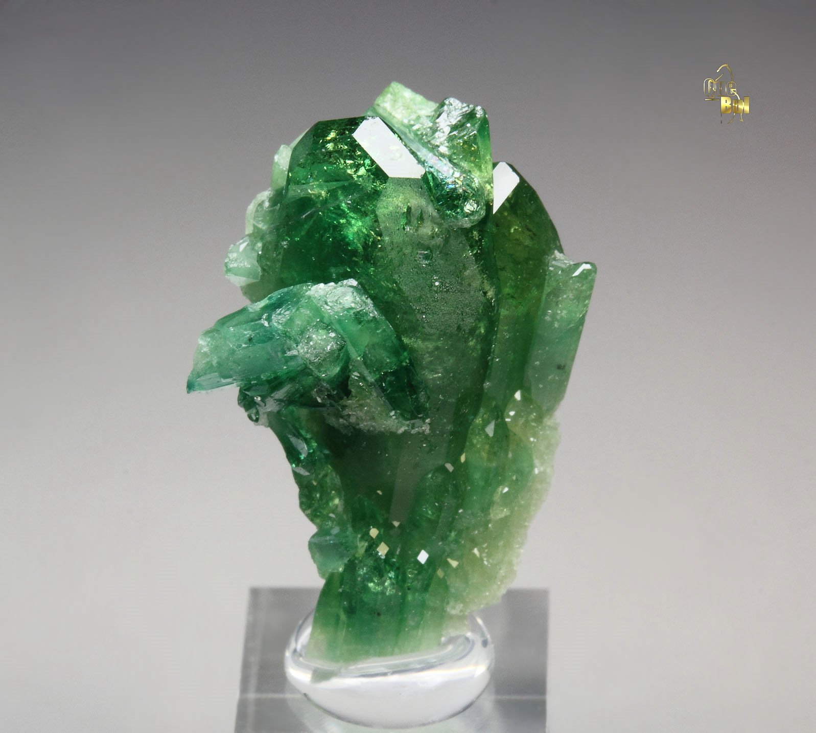 gem VESUVIANITE var. CHROMIAN