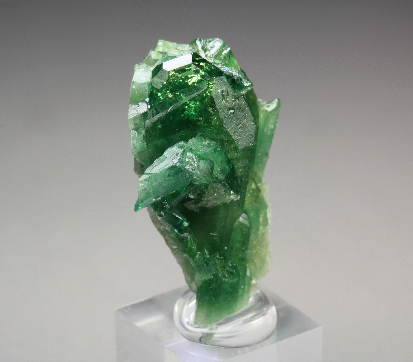 gem VESUVIANITE var. CHROMIAN