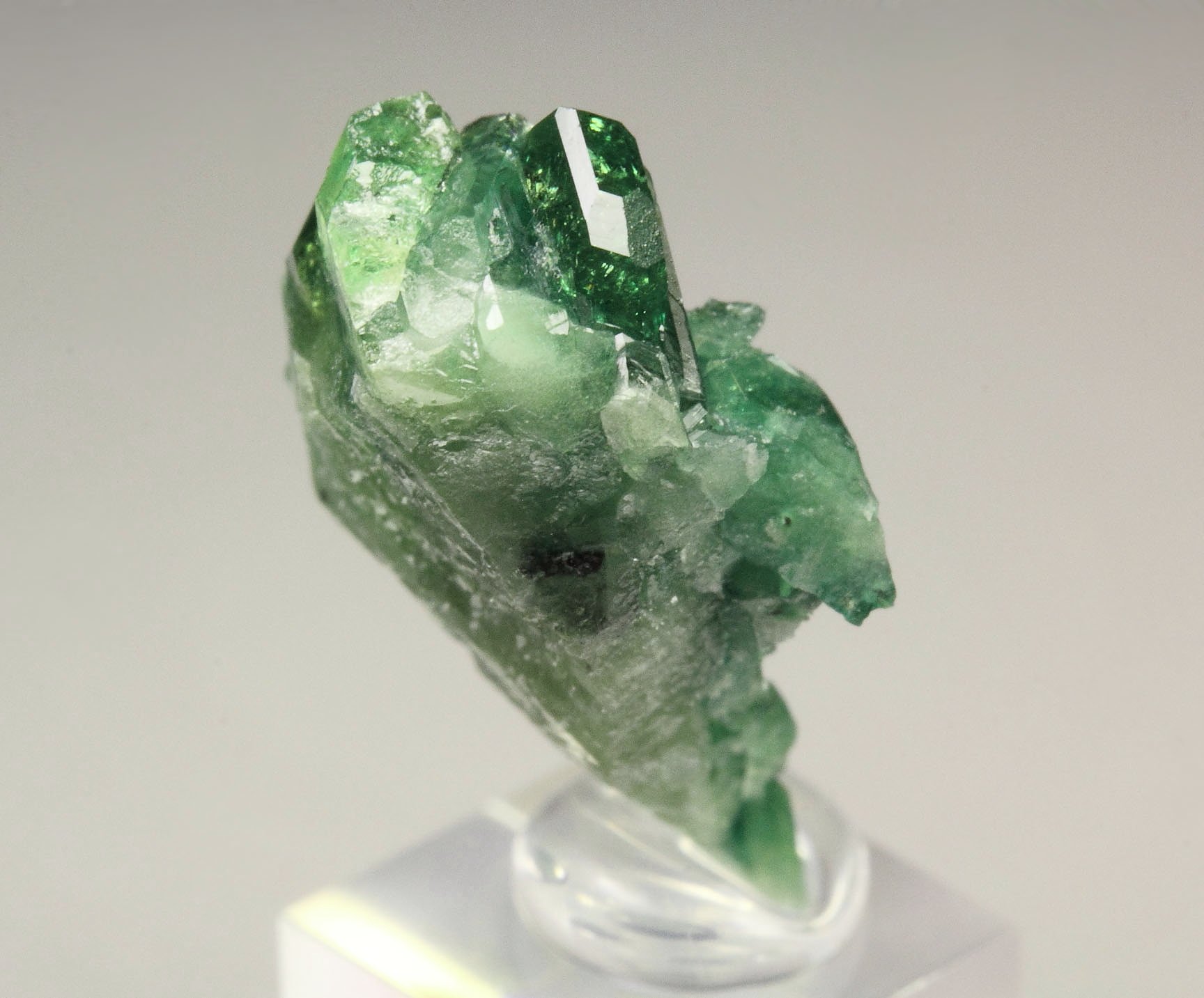 gem VESUVIANITE var. CHROMIAN