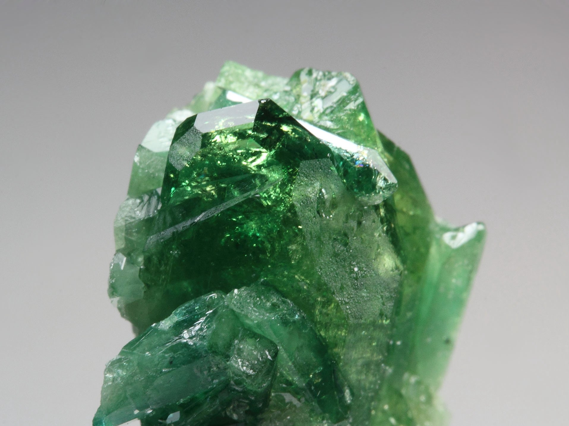 gem VESUVIANITE var. CHROMIAN