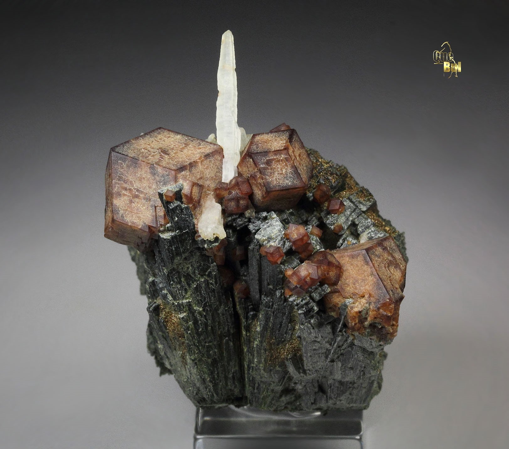 GARNET var. ANDRADITE, HEDENBERGITE, QUARTZ