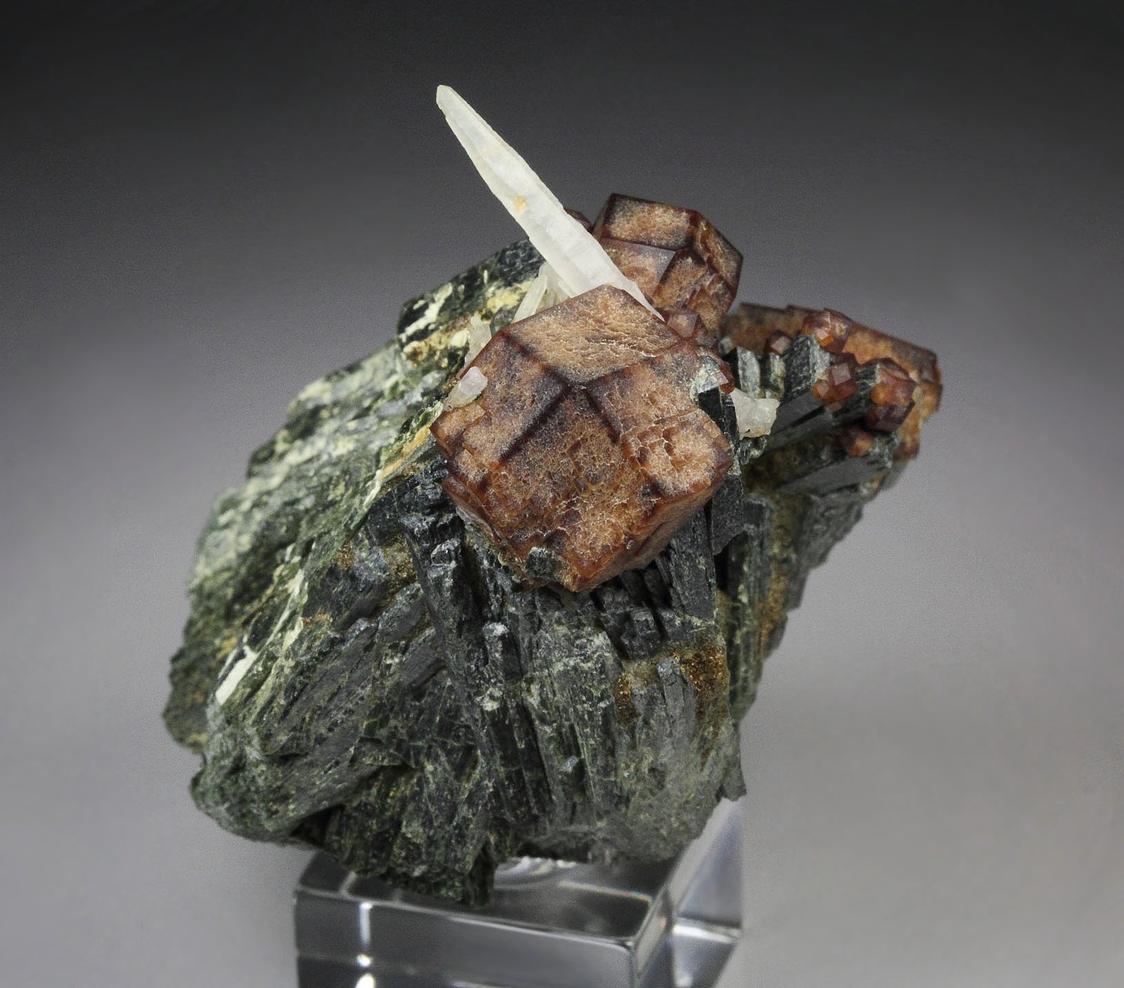 GARNET var. ANDRADITE, HEDENBERGITE, QUARTZ