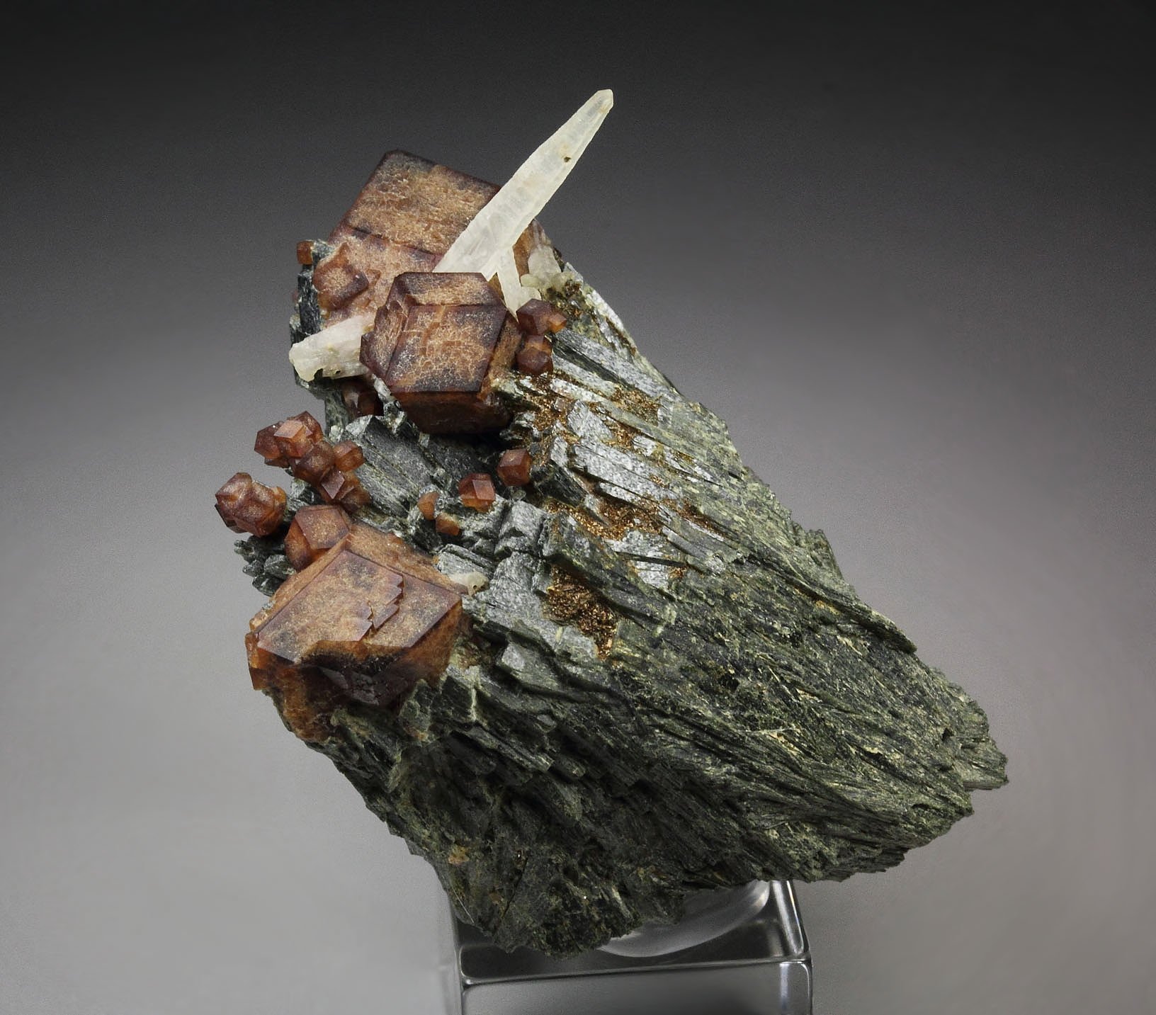 GARNET var. ANDRADITE, HEDENBERGITE, QUARTZ