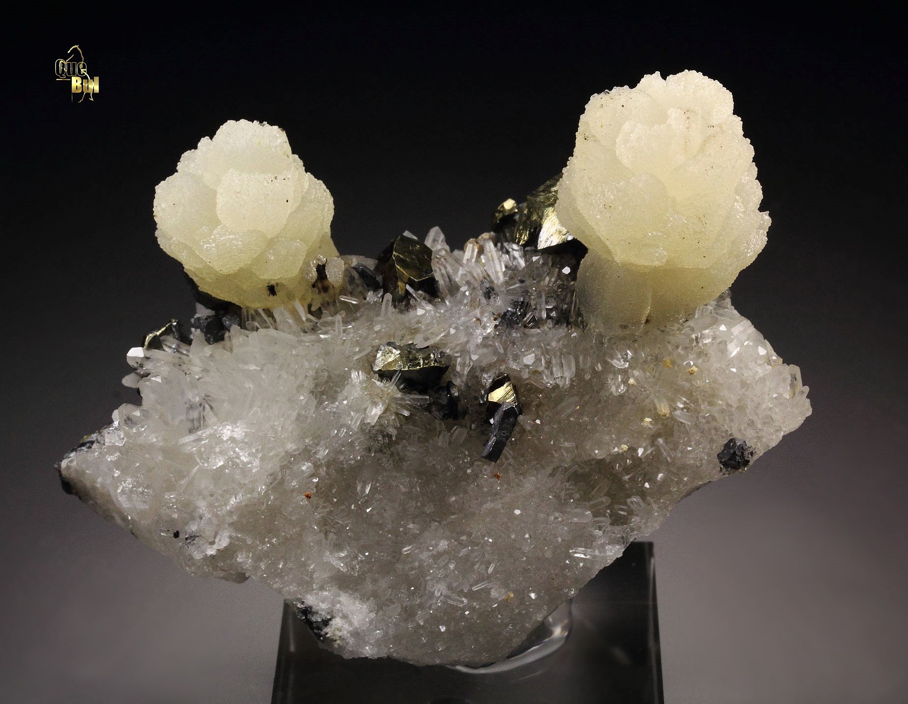 CALCITE, CHALCOPYRITE, GALENA, QUARTZ