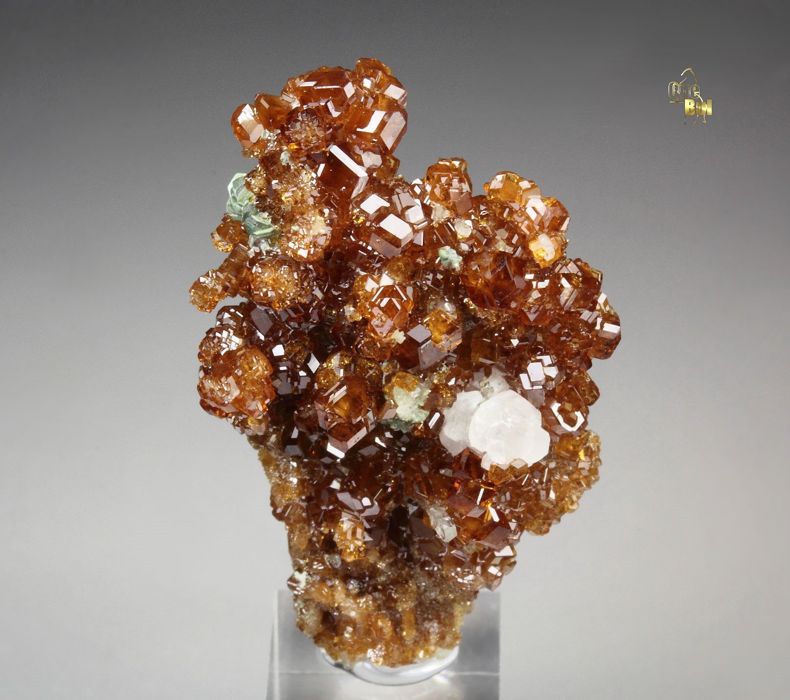 gem GARNET var. HESSONITE, CLINOCHLORE