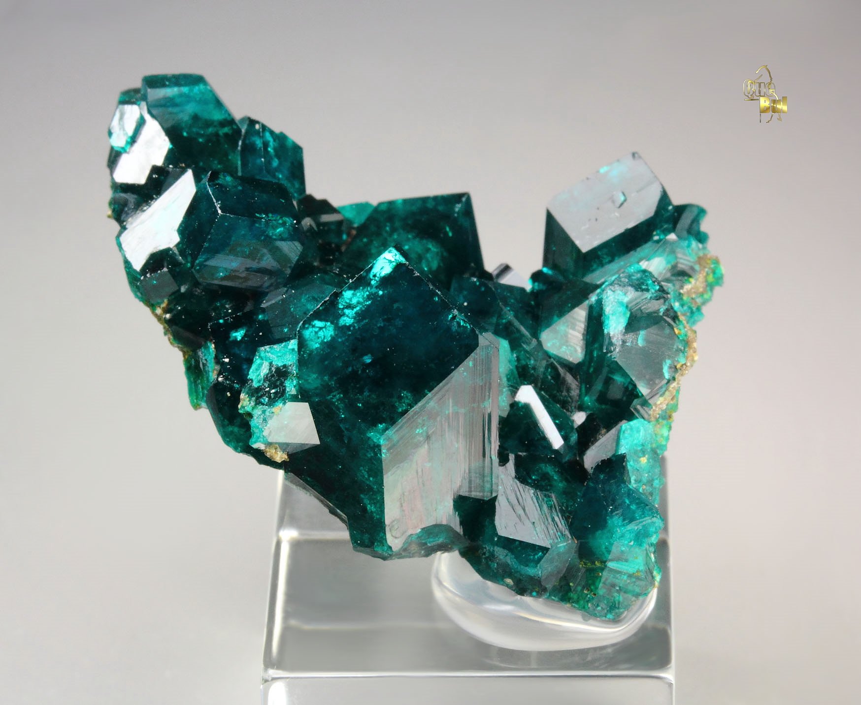 gemmy DIOPTASE