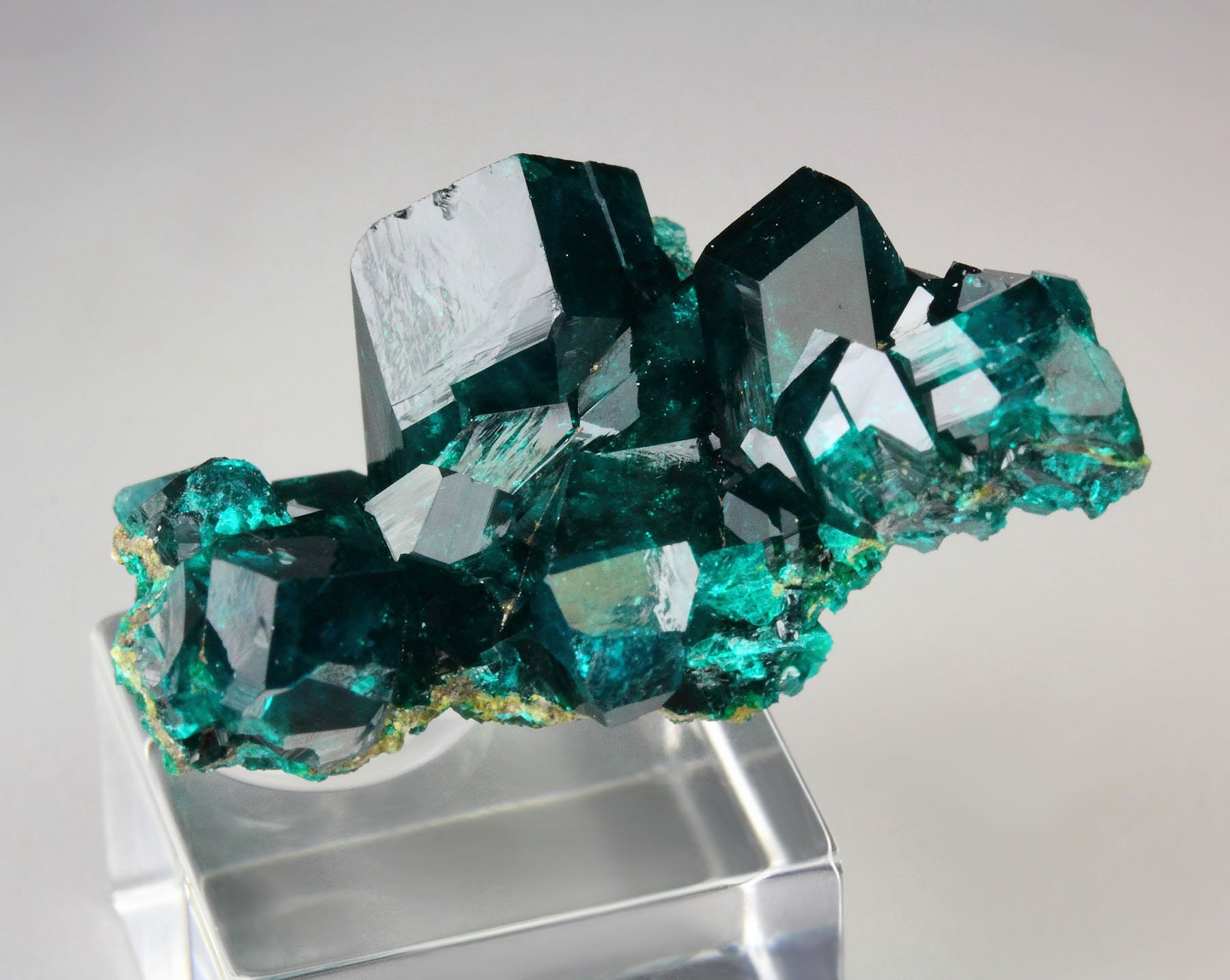 gemmy DIOPTASE