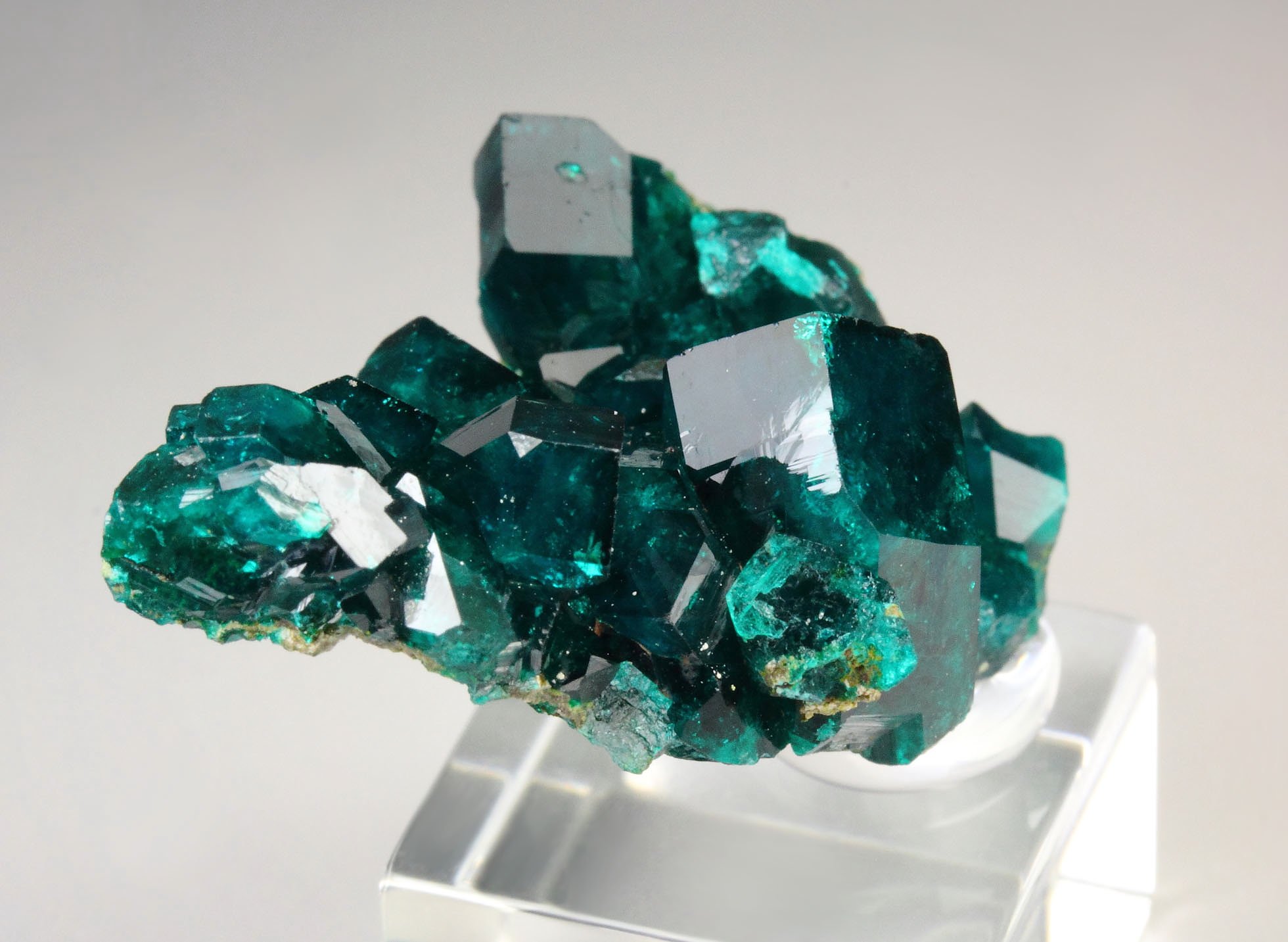 gemmy DIOPTASE