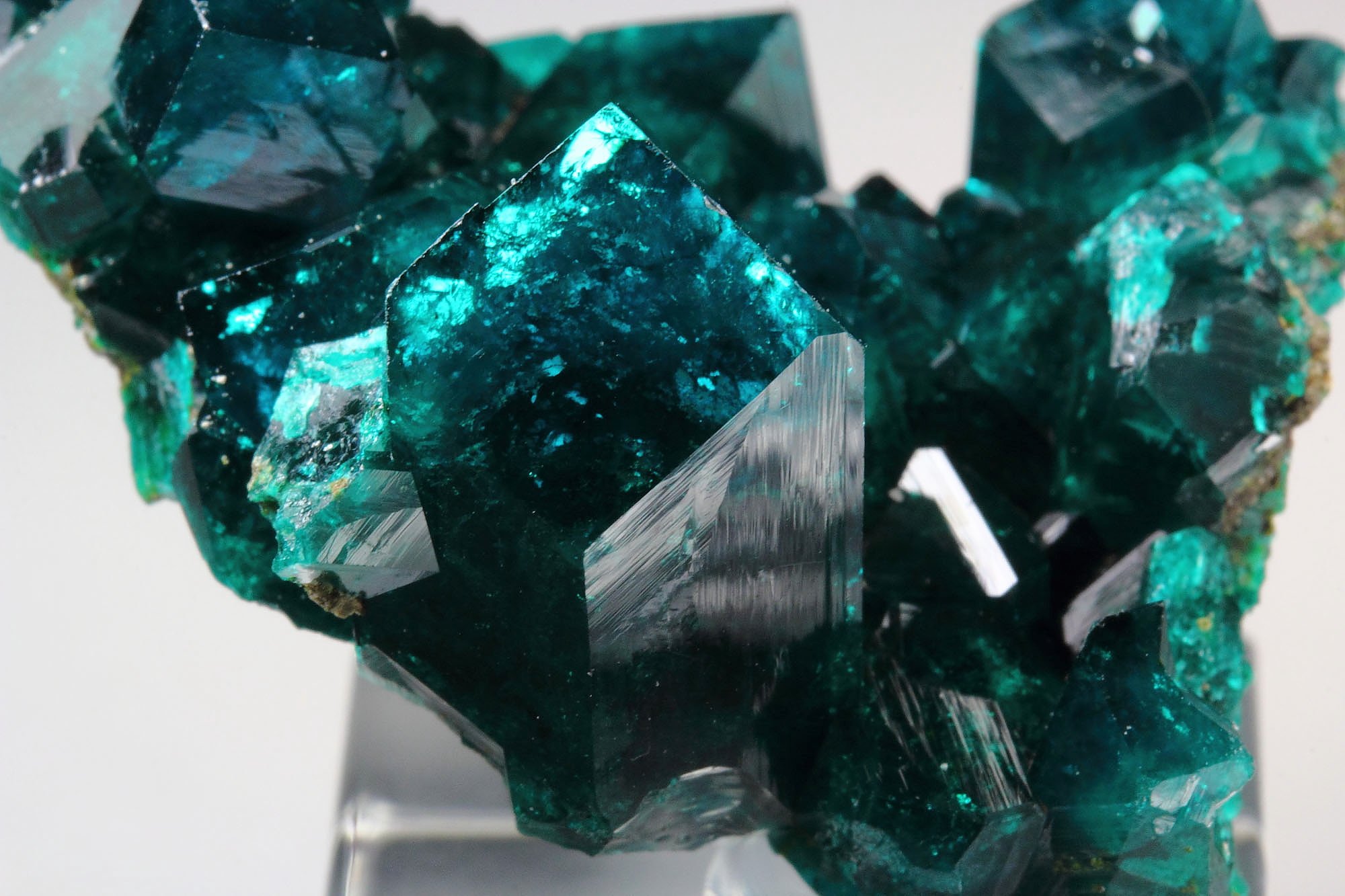 gemmy DIOPTASE