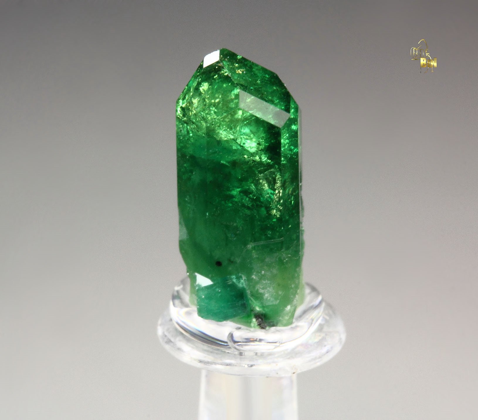 gem VESUVIANITE var. CHROMIAN