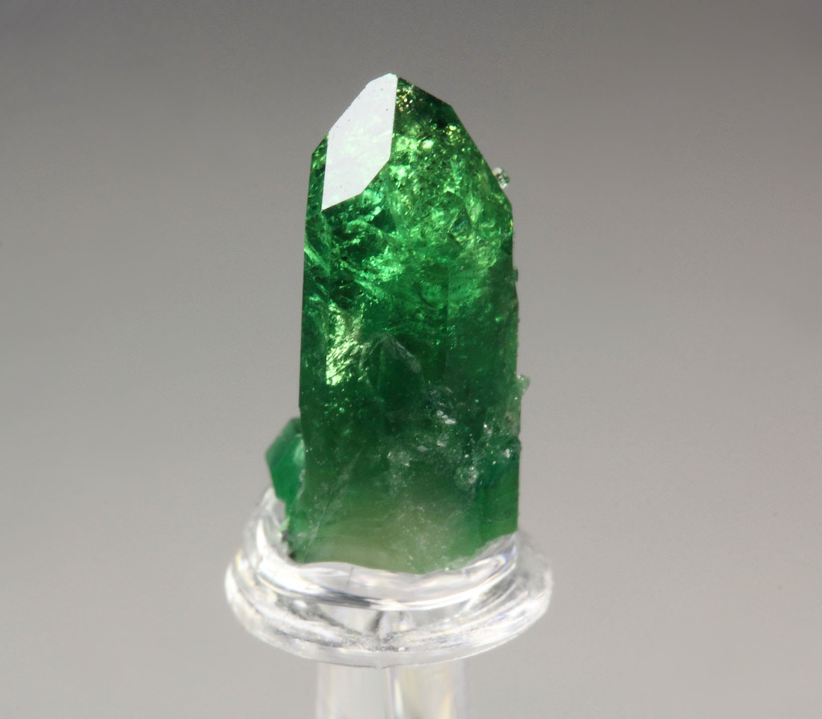 gem VESUVIANITE var. CHROMIAN