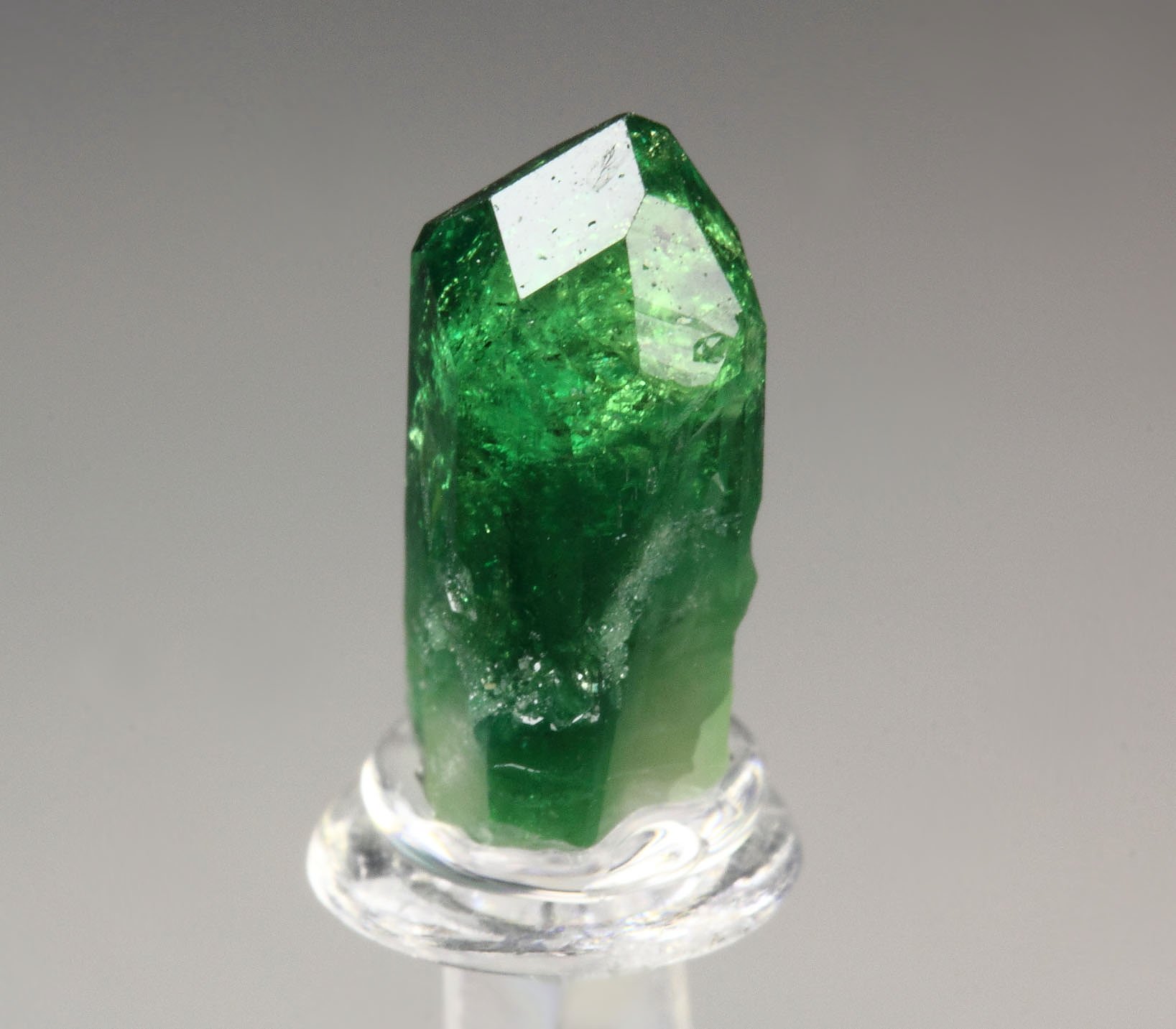 gem VESUVIANITE var. CHROMIAN