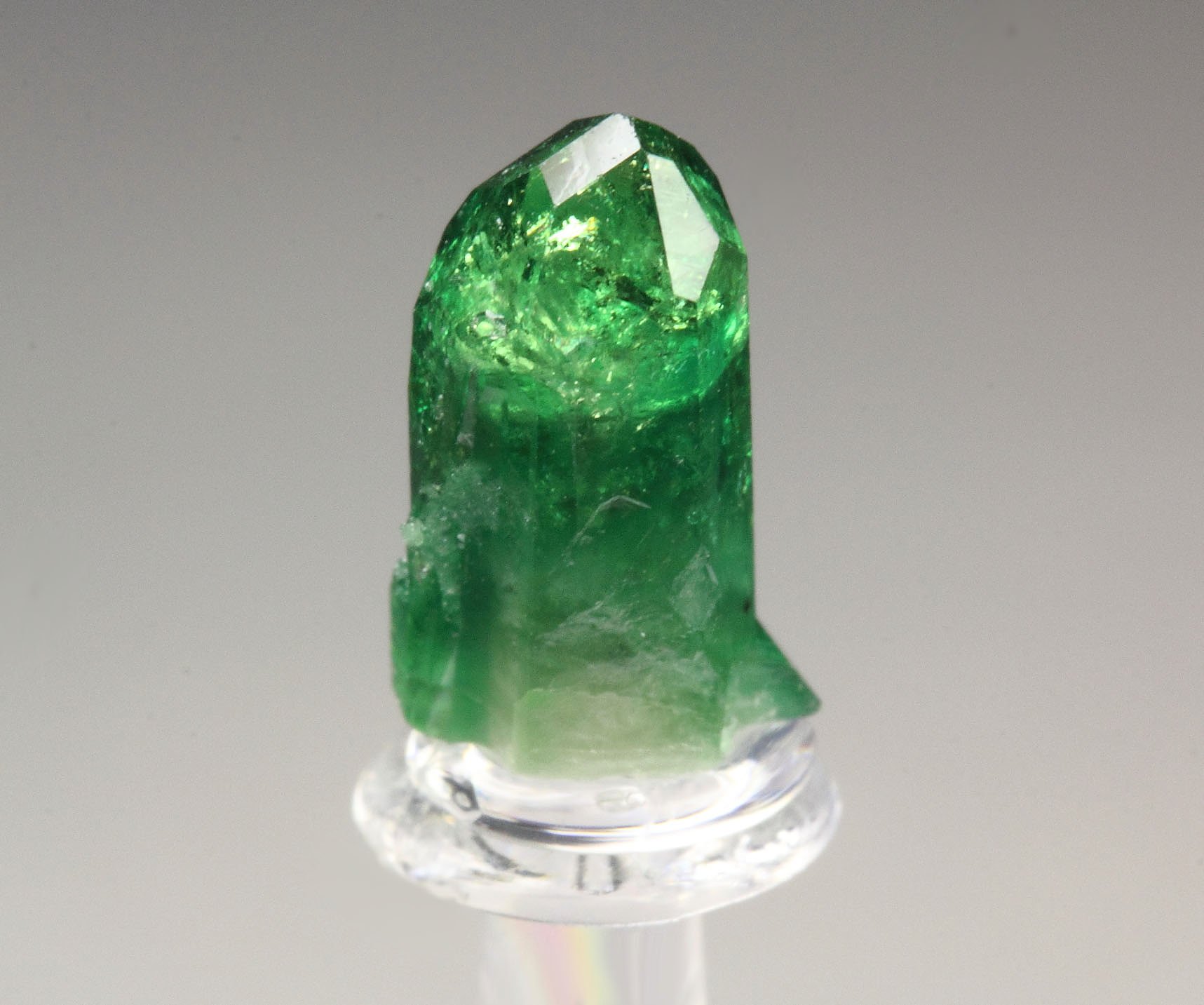 gem VESUVIANITE var. CHROMIAN