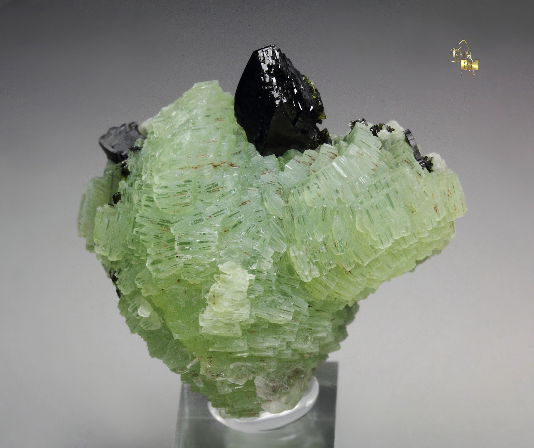 BABINGTONITE, PREHNITE 