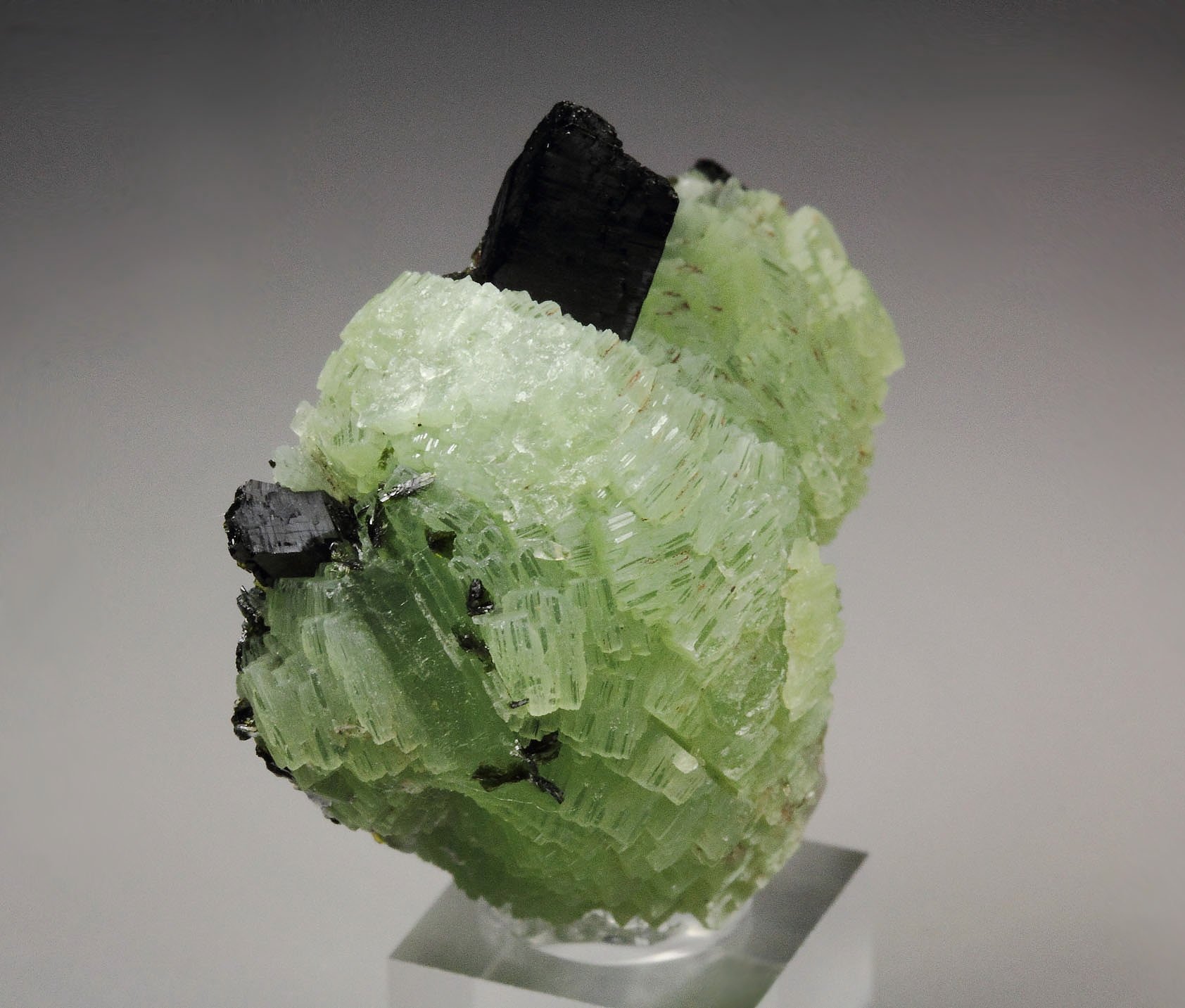 BABINGTONITE, PREHNITE 