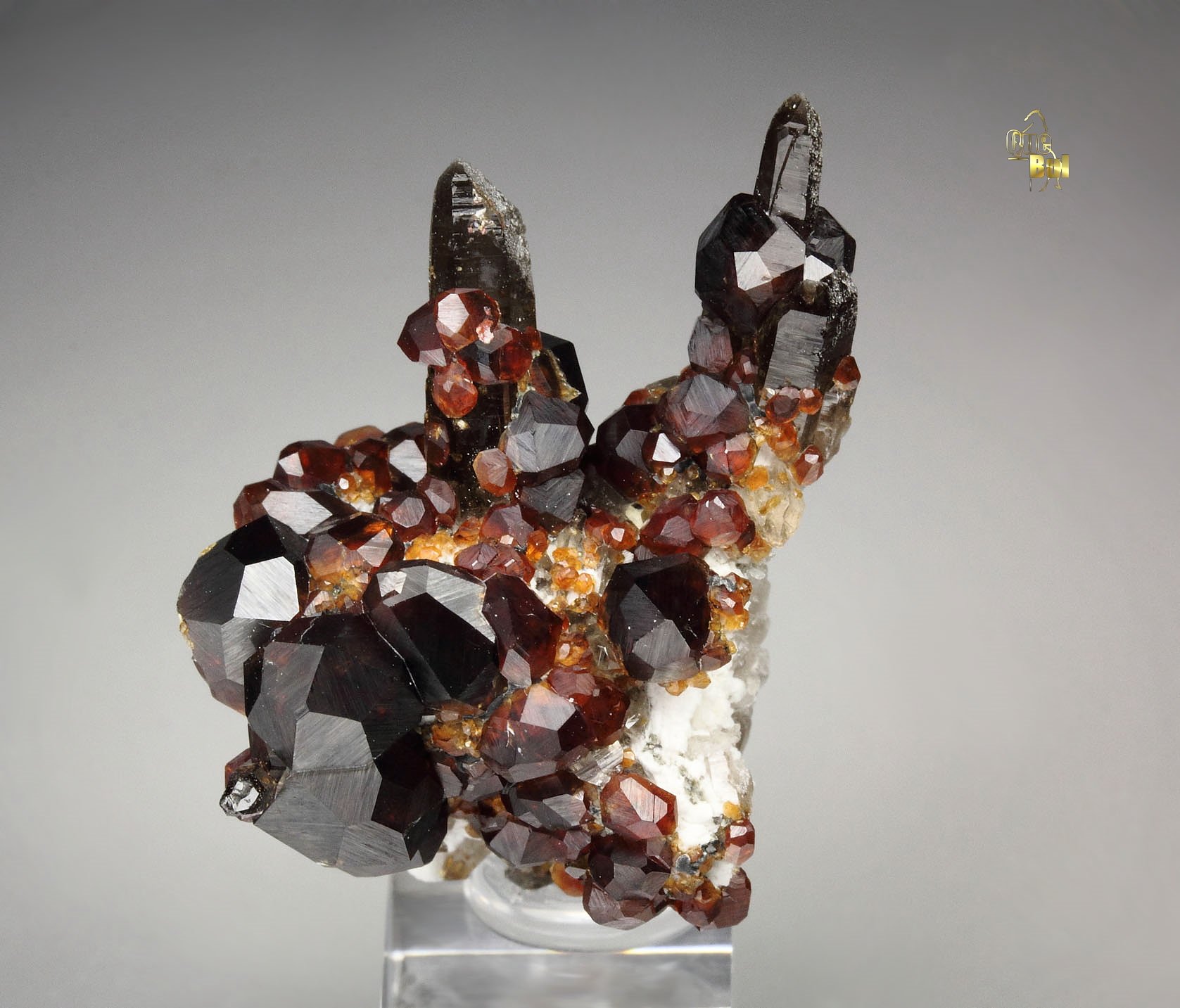 gemmy GARNET var. SPESSARTINE, QUARTZ var. SMOKY