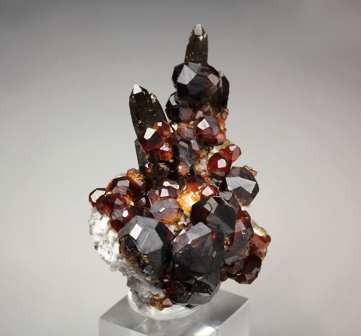 gemmy GARNET var. SPESSARTINE, QUARTZ var. SMOKY