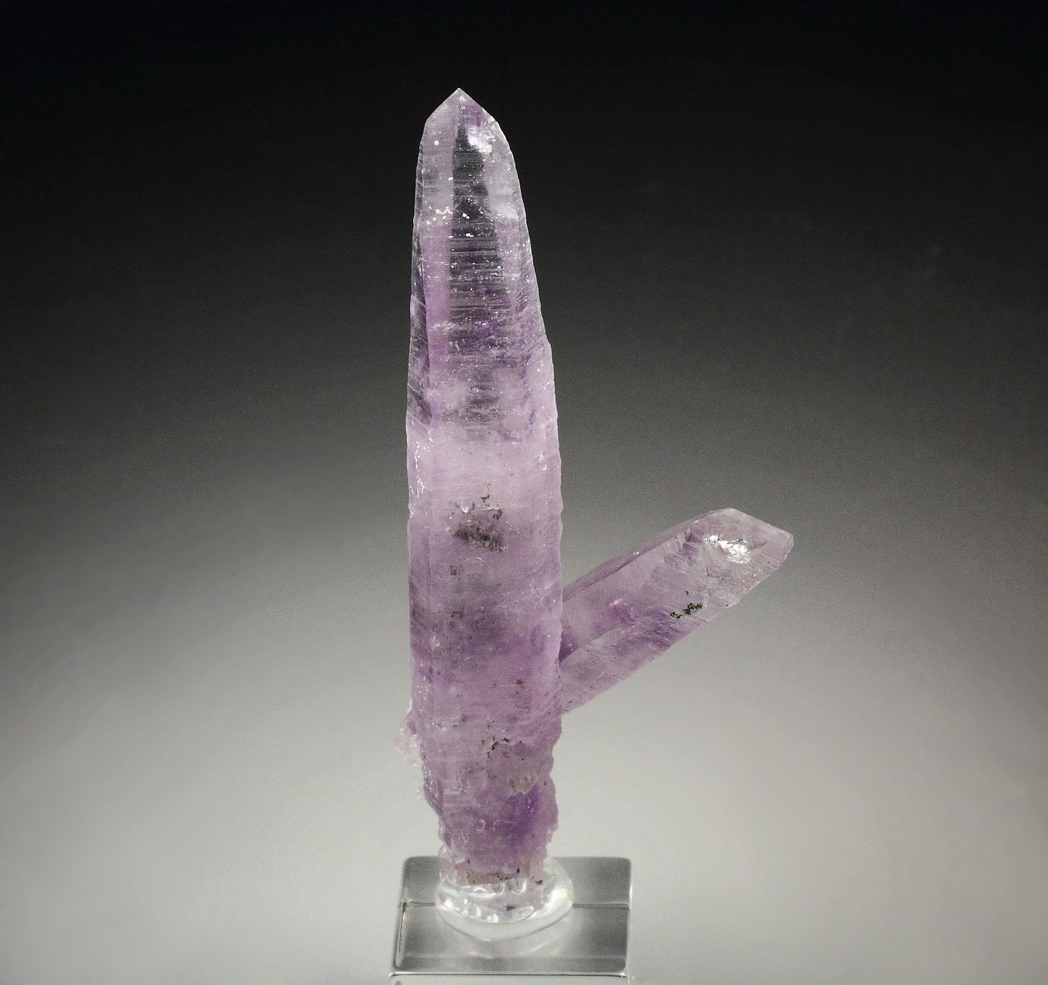 QUARTZ var. AMETHYST