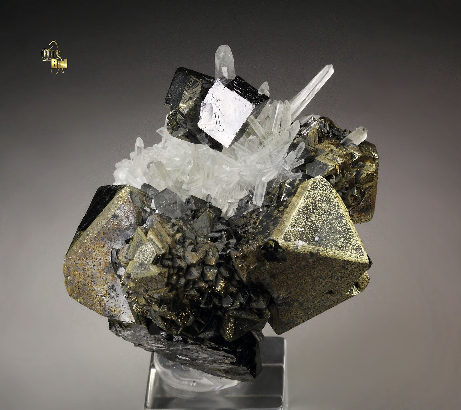 SPHALERITE, epitaxial CHALCOPYRITE, GALENA, QUARTZ