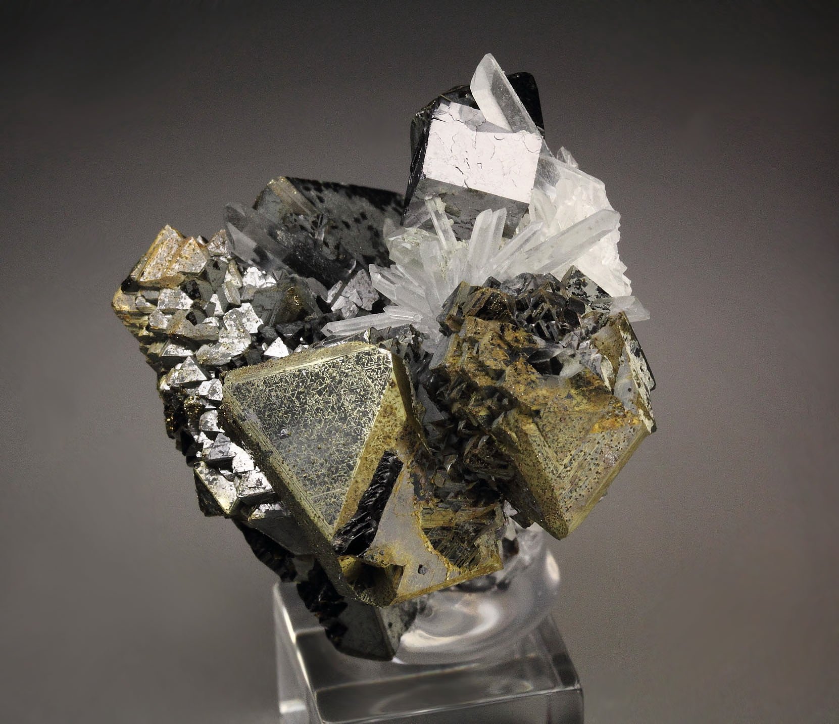 SPHALERITE, epitaxial CHALCOPYRITE, GALENA, QUARTZ