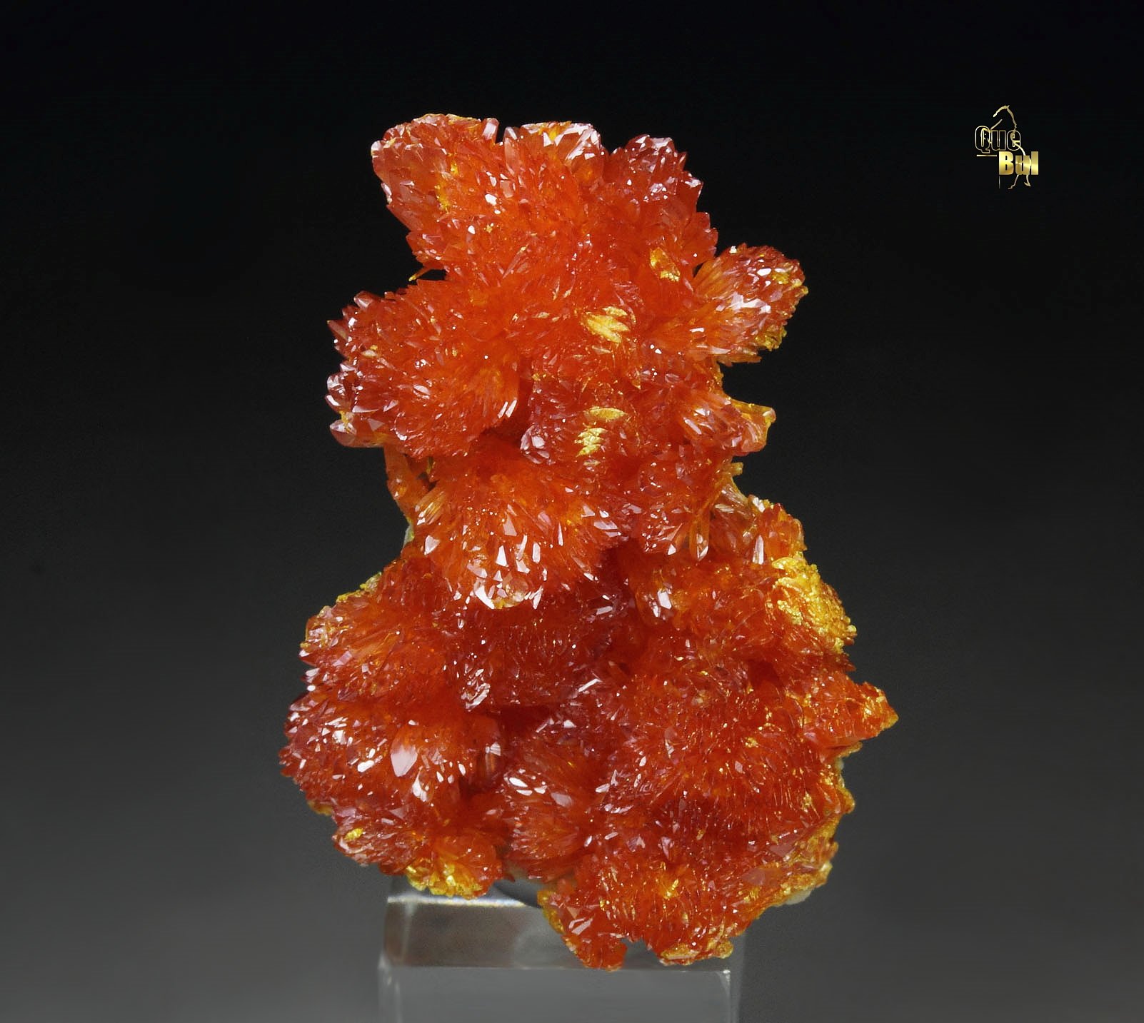 ORPIMENT