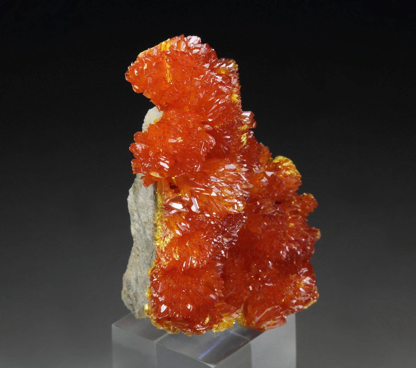 ORPIMENT