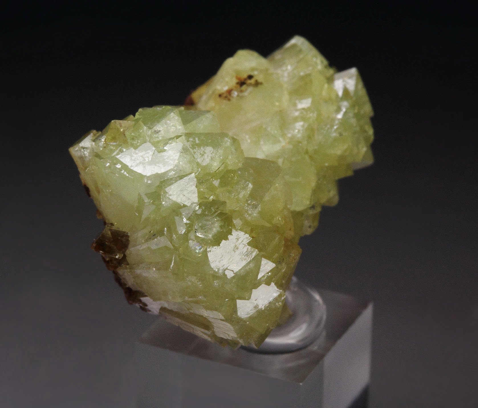 ADAMITE