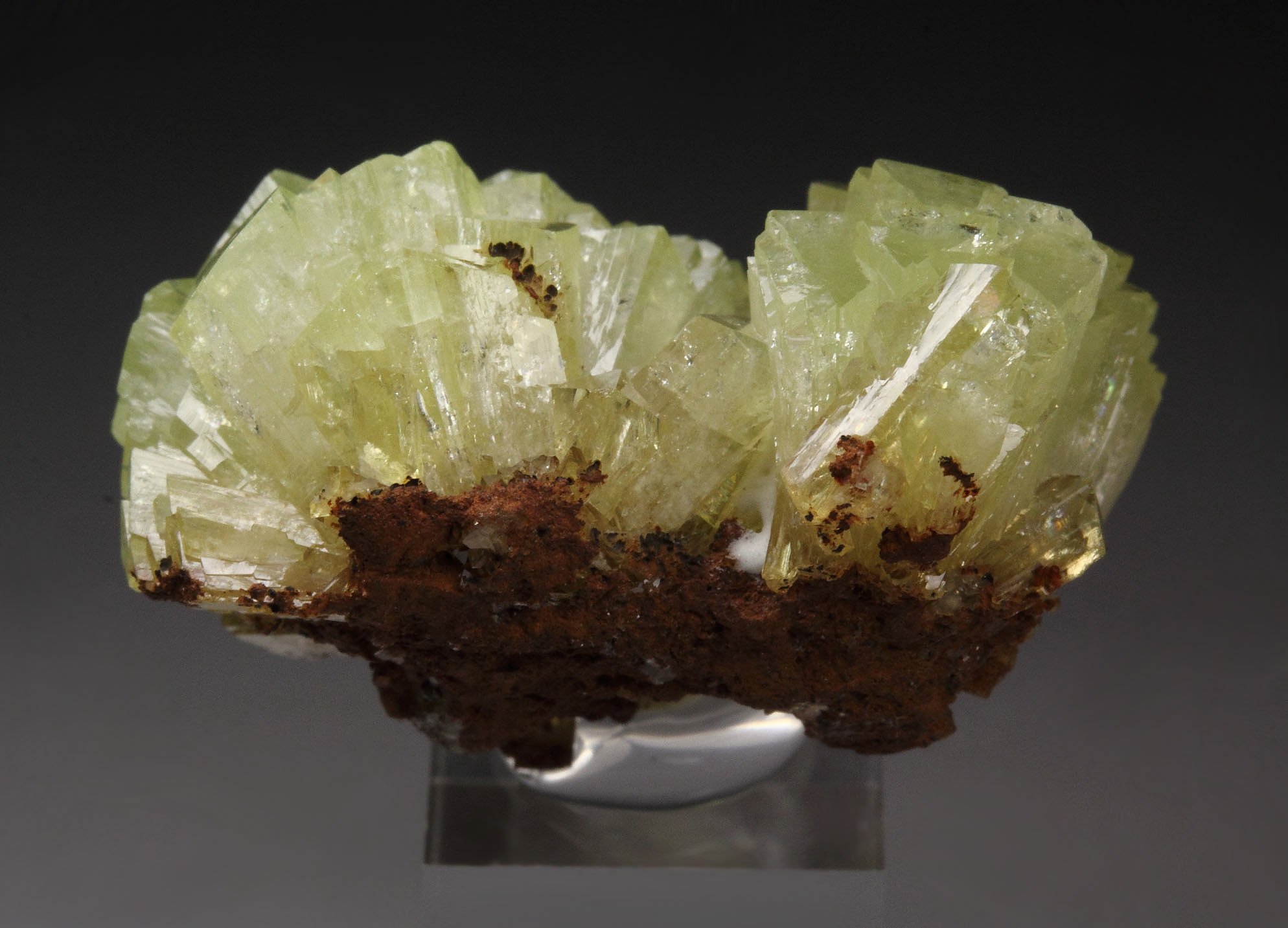 ADAMITE