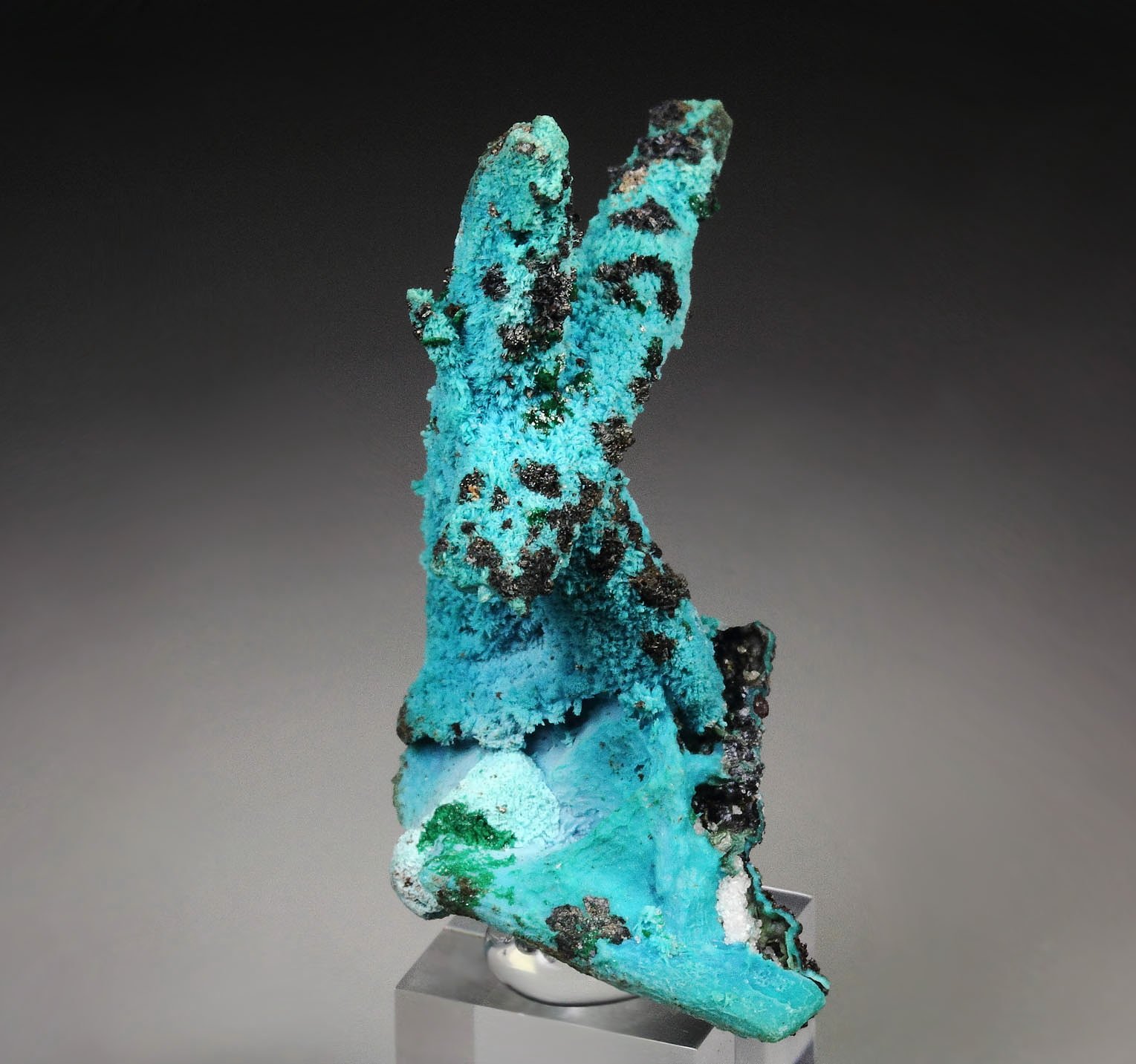 CHRYSOCOLLA pseudomorph after AZURITE, after MALACHITE