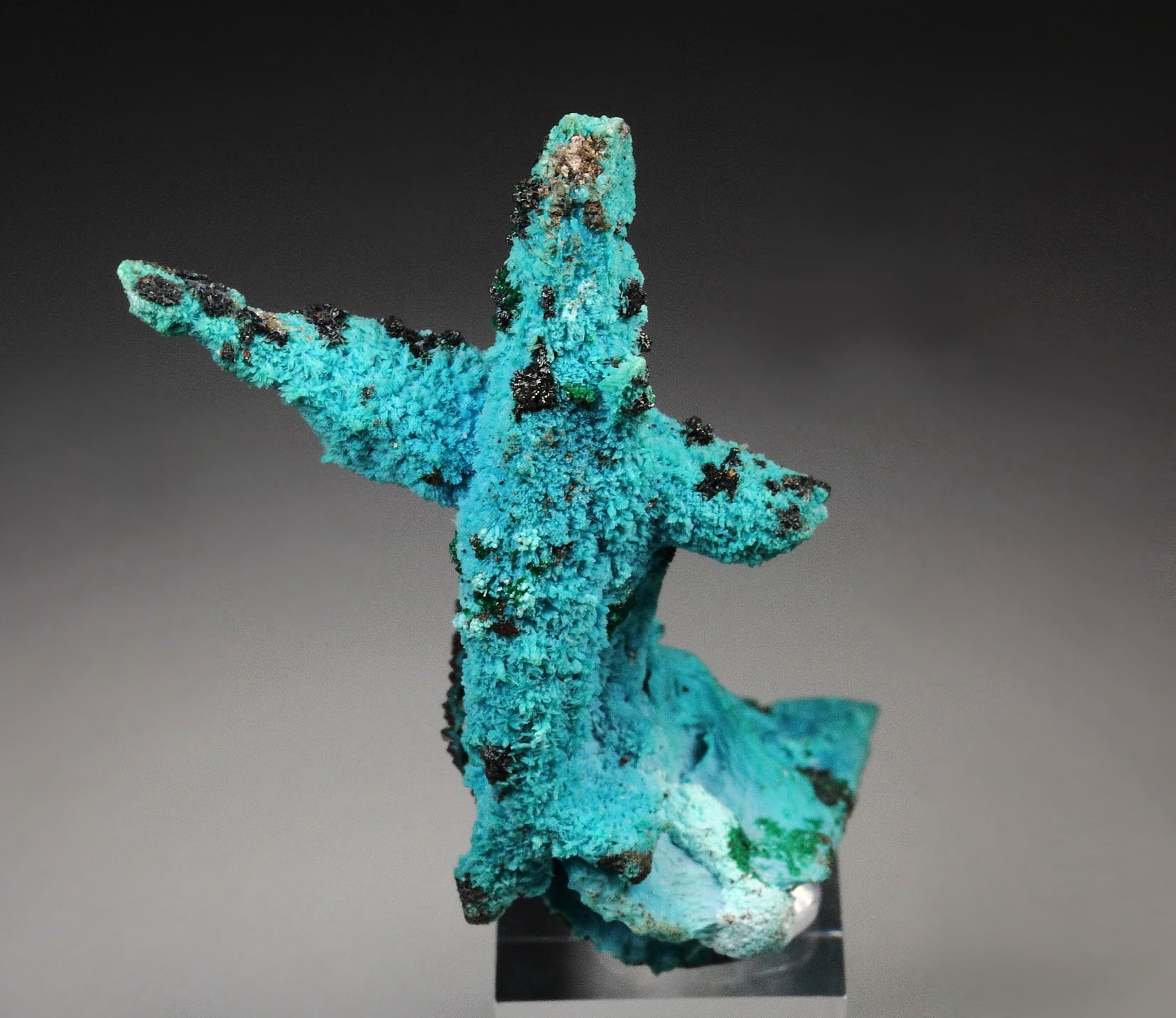 CHRYSOCOLLA pseudomorph after AZURITE, after MALACHITE