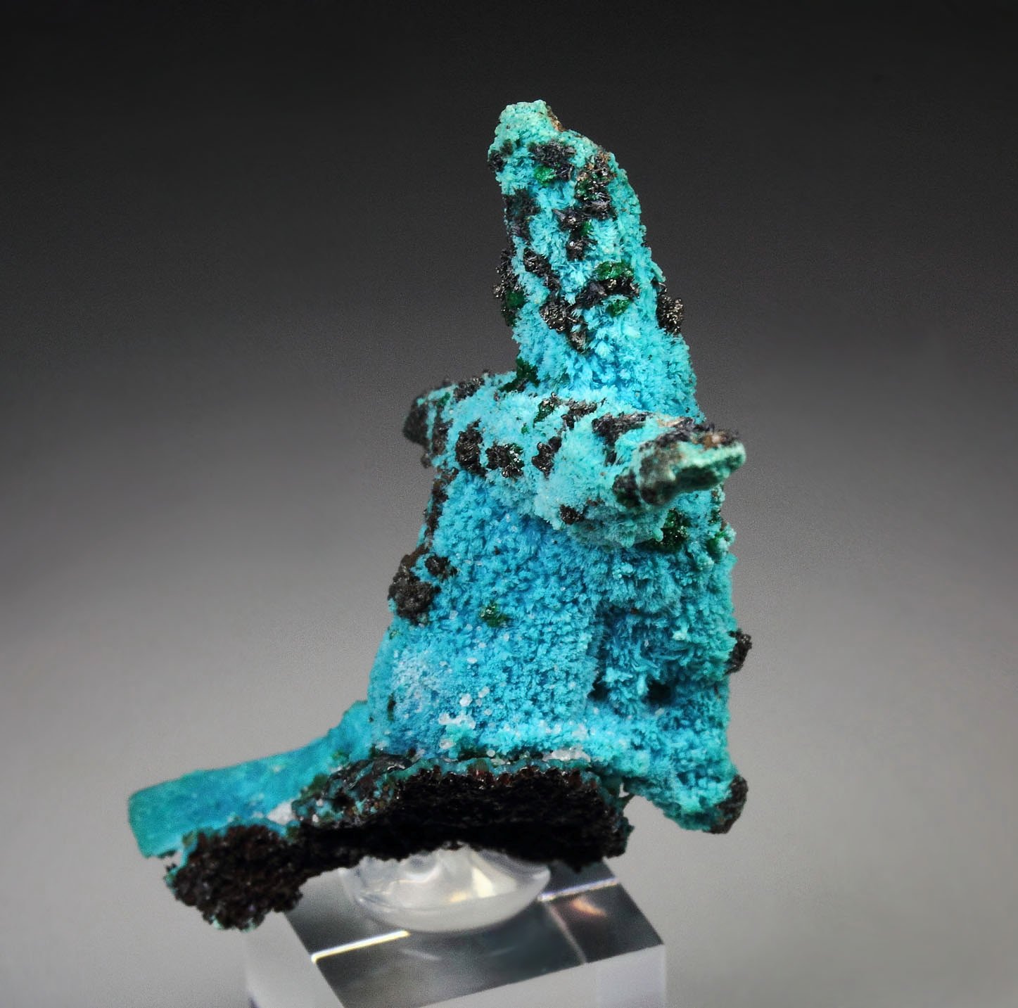 CHRYSOCOLLA pseudomorph after AZURITE, after MALACHITE